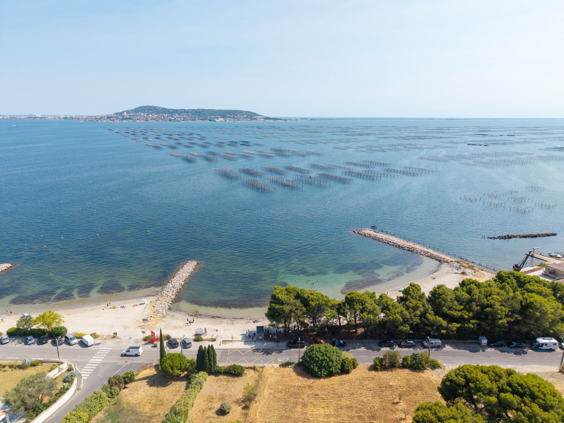 luxury villa 5 Rooms for sale on BOUZIGUES (34140)