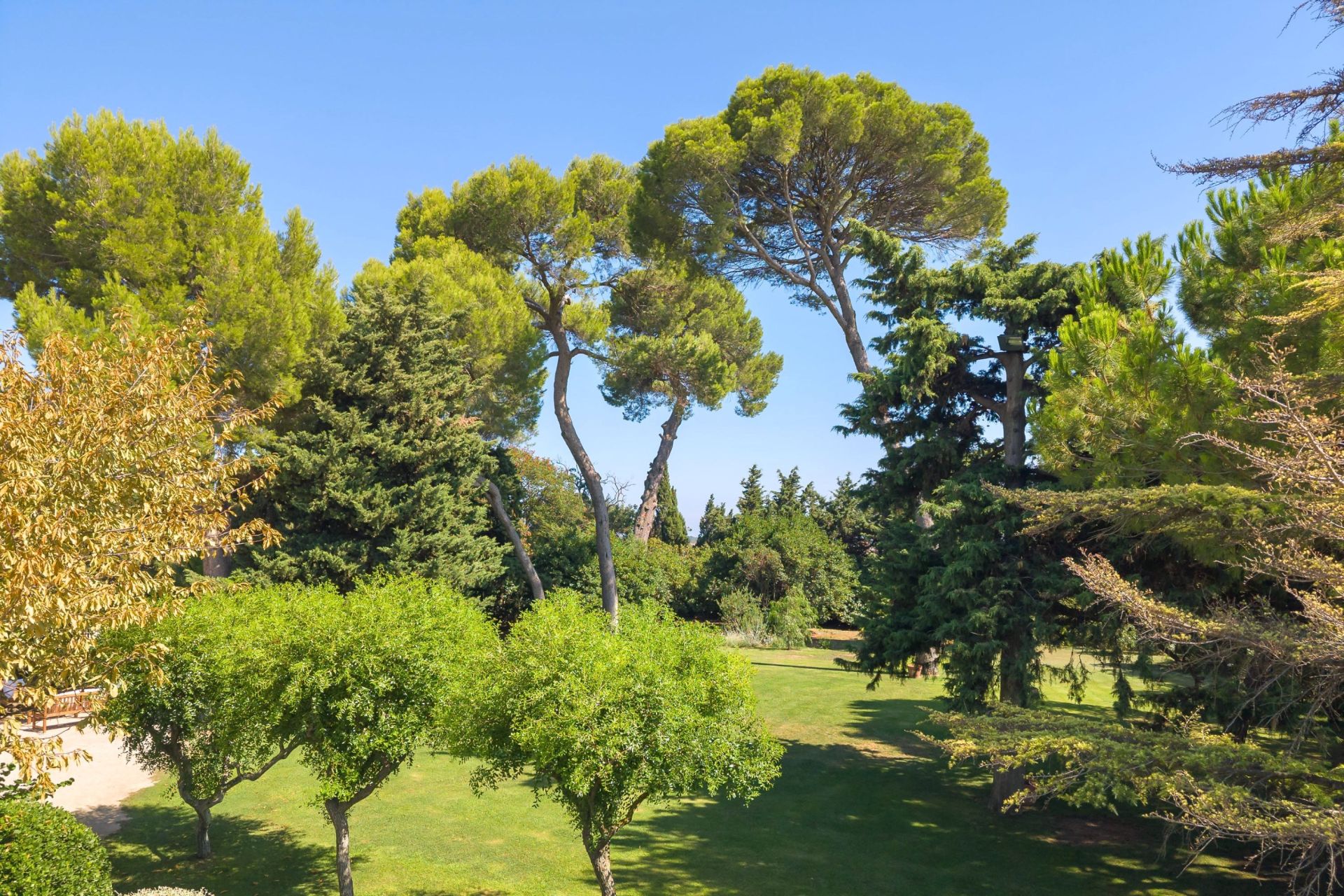 luxury property 35 Rooms for sale on MONTPELLIER (34000)
