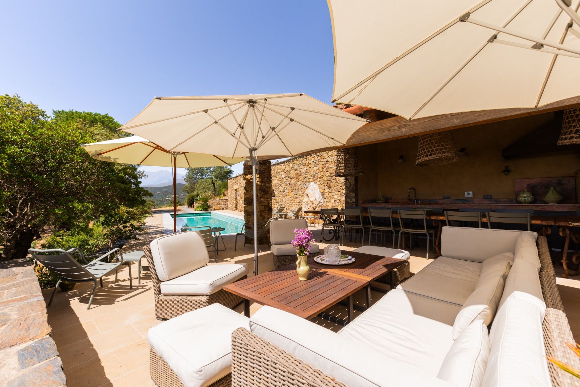 luxury house 10 Rooms for sale on CASTELNOU (66300)