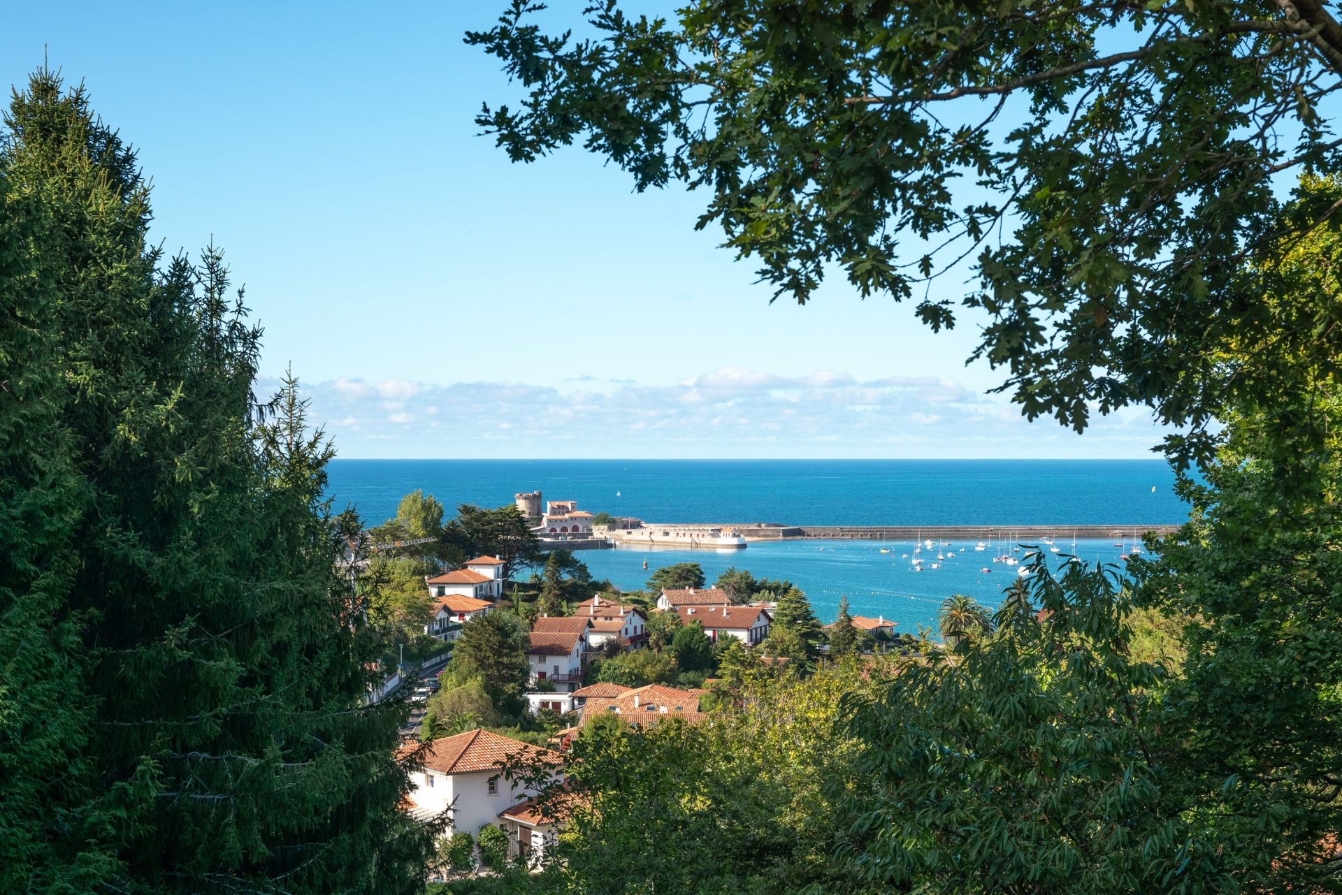 luxury house 10 Rooms for sale on CIBOURE (64500)