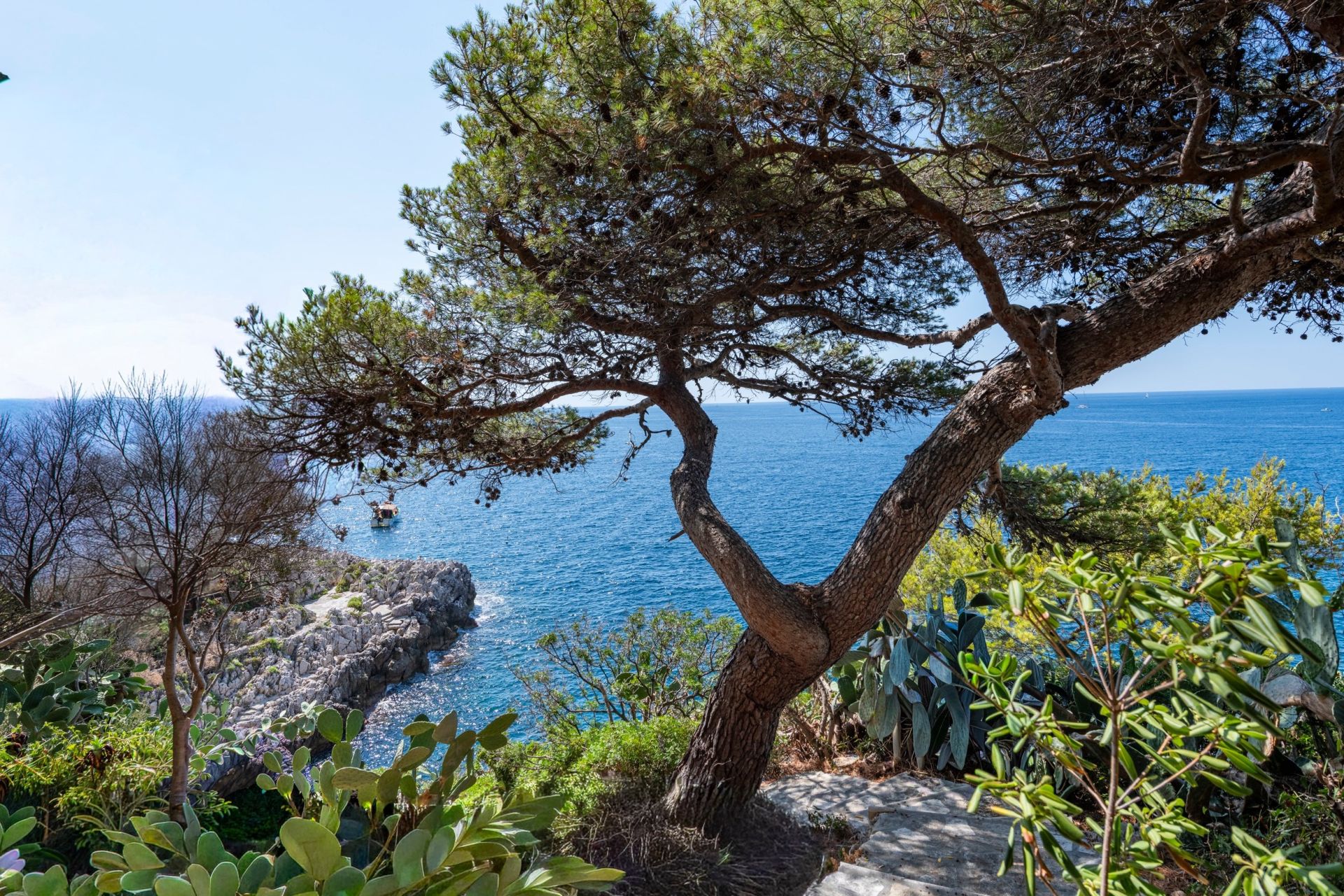 luxury villa 6 Rooms for sale on NICE (06000)
