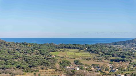 Sale Luxury provencale house Ramatuelle 4&nbsp;Rooms 72&nbsp;m²