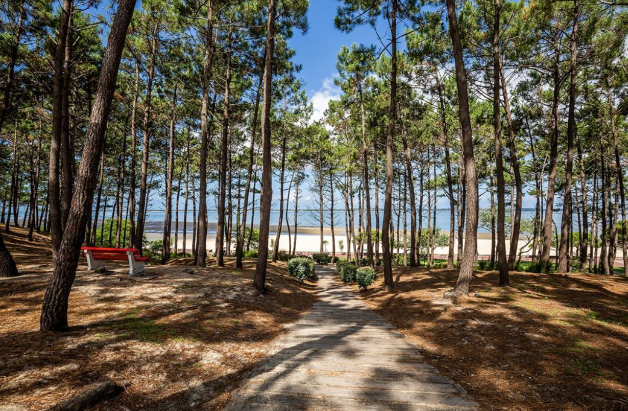 maison de luxe 5 Pièces en vente sur ARCACHON (33120)