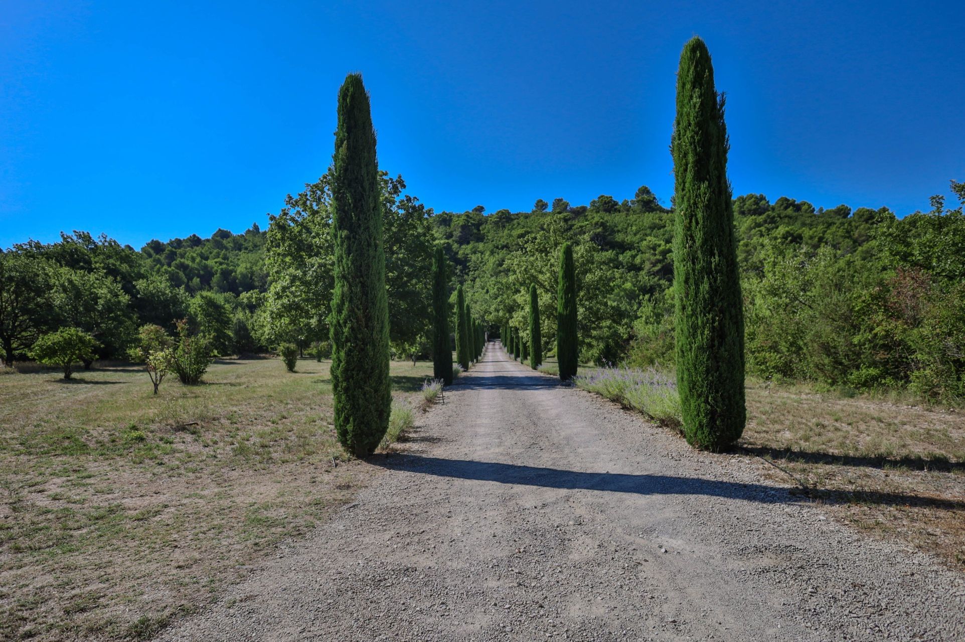 luxury house 8 Rooms for sale on GORDES (84220)