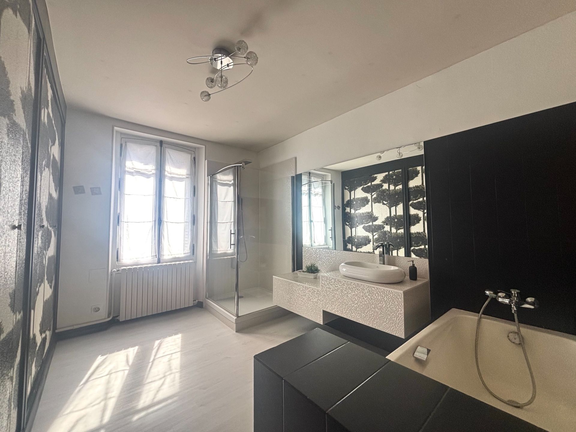 luxury house 9 Rooms for sale on ORLEANS (45000)