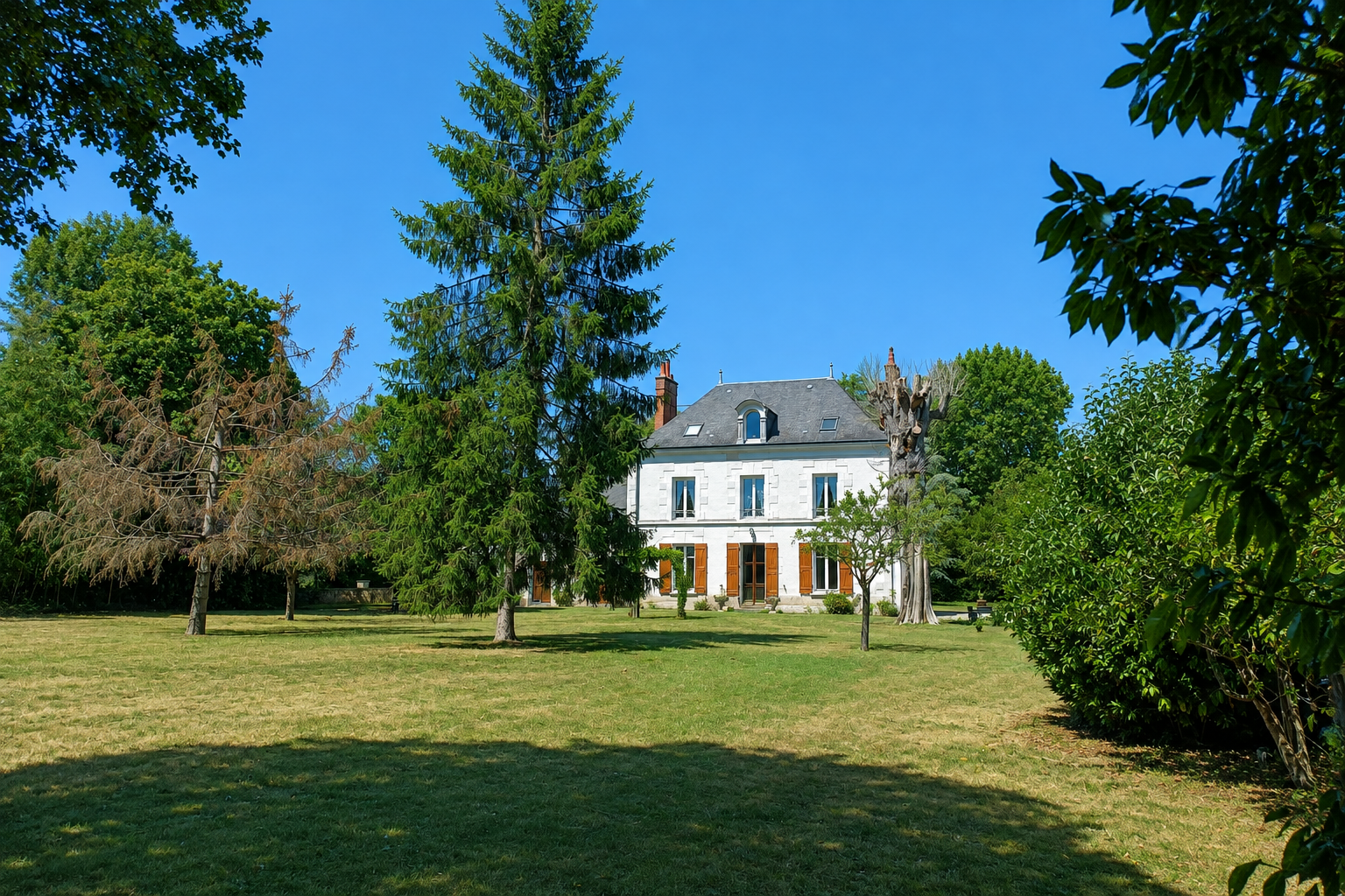 luxury house 10 Rooms for sale on VEUZAIN SUR LOIRE (41150)