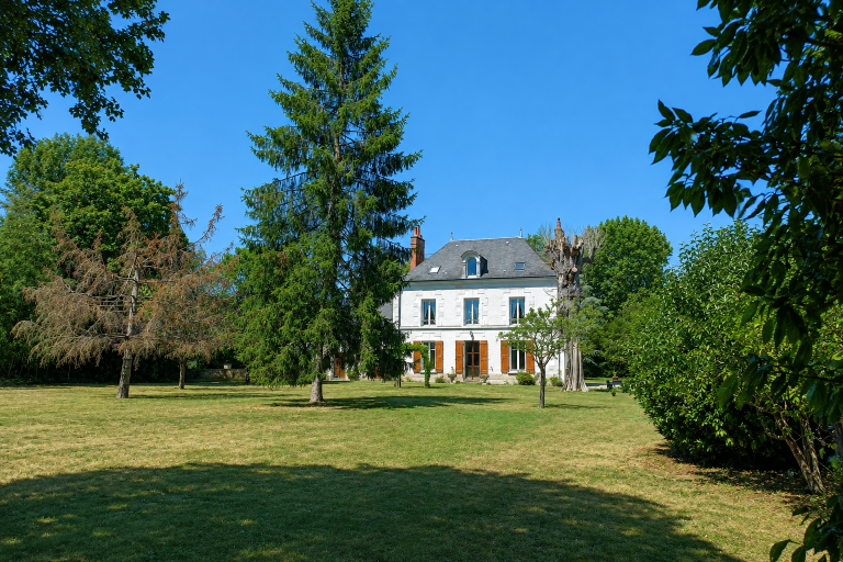 maison de luxe 10 Pièces en vente sur VEUZAIN SUR LOIRE (41150)