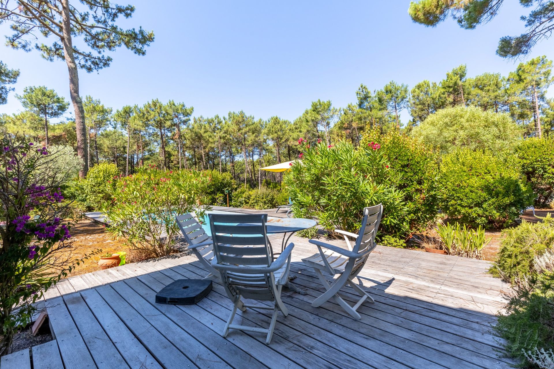 maison de luxe 6 Pièces en vente sur CAP FERRET (33970)