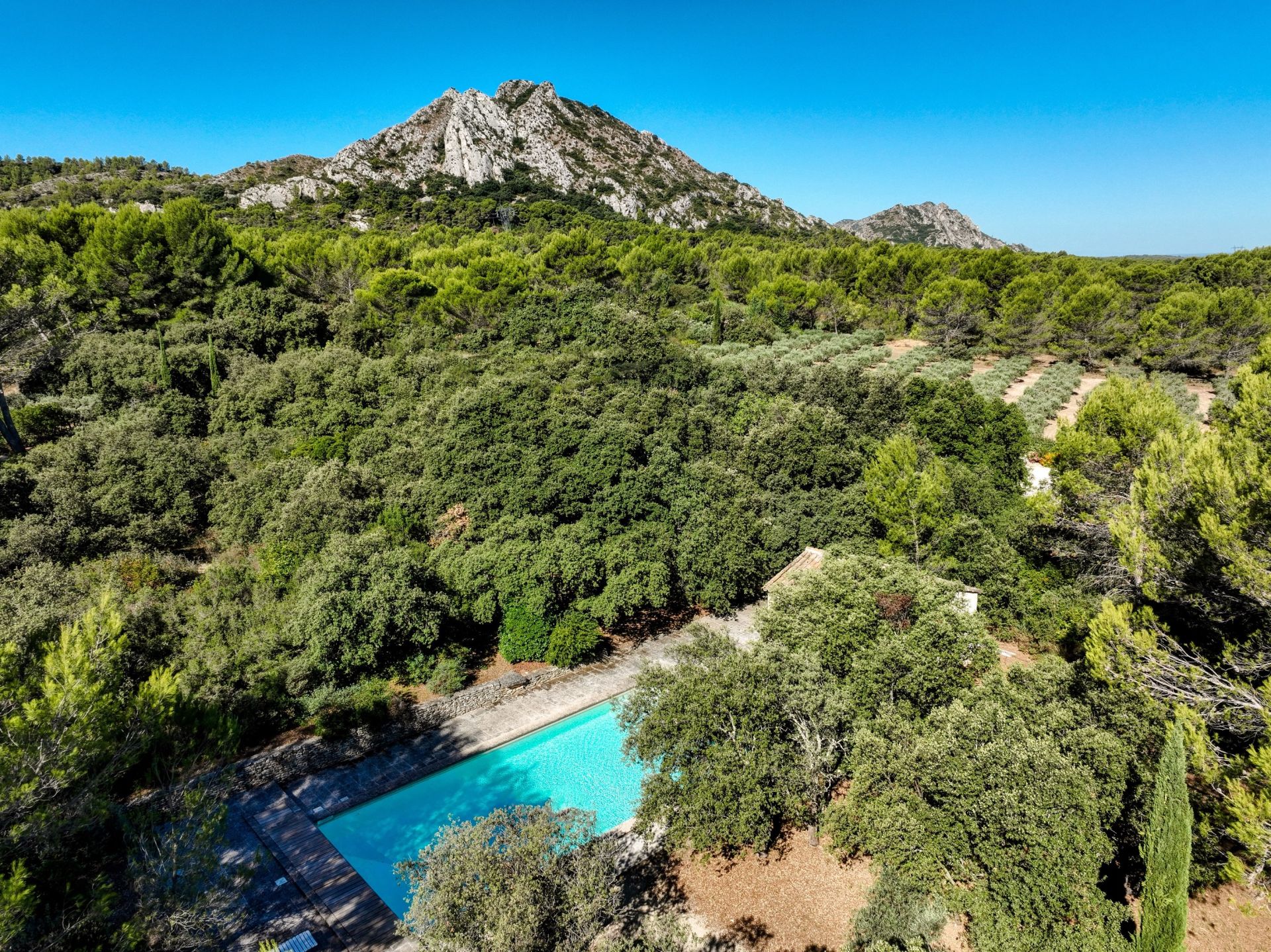 luxury house 10 Rooms for sale on EYGALIERES (13810)