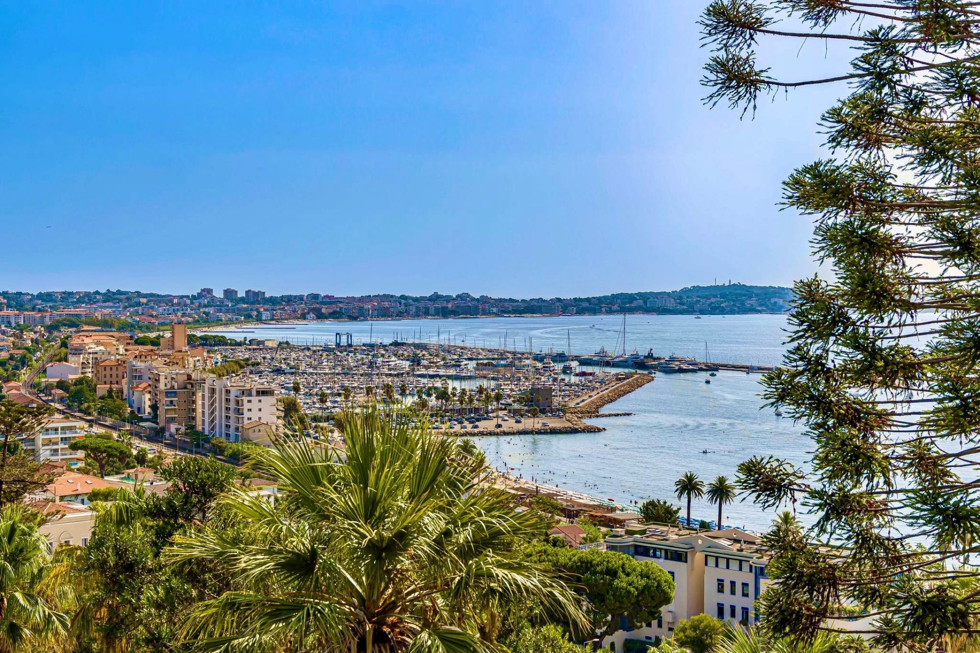 appartement de luxe 3 Pièces en vente sur LE GOLFE JUAN (06220)