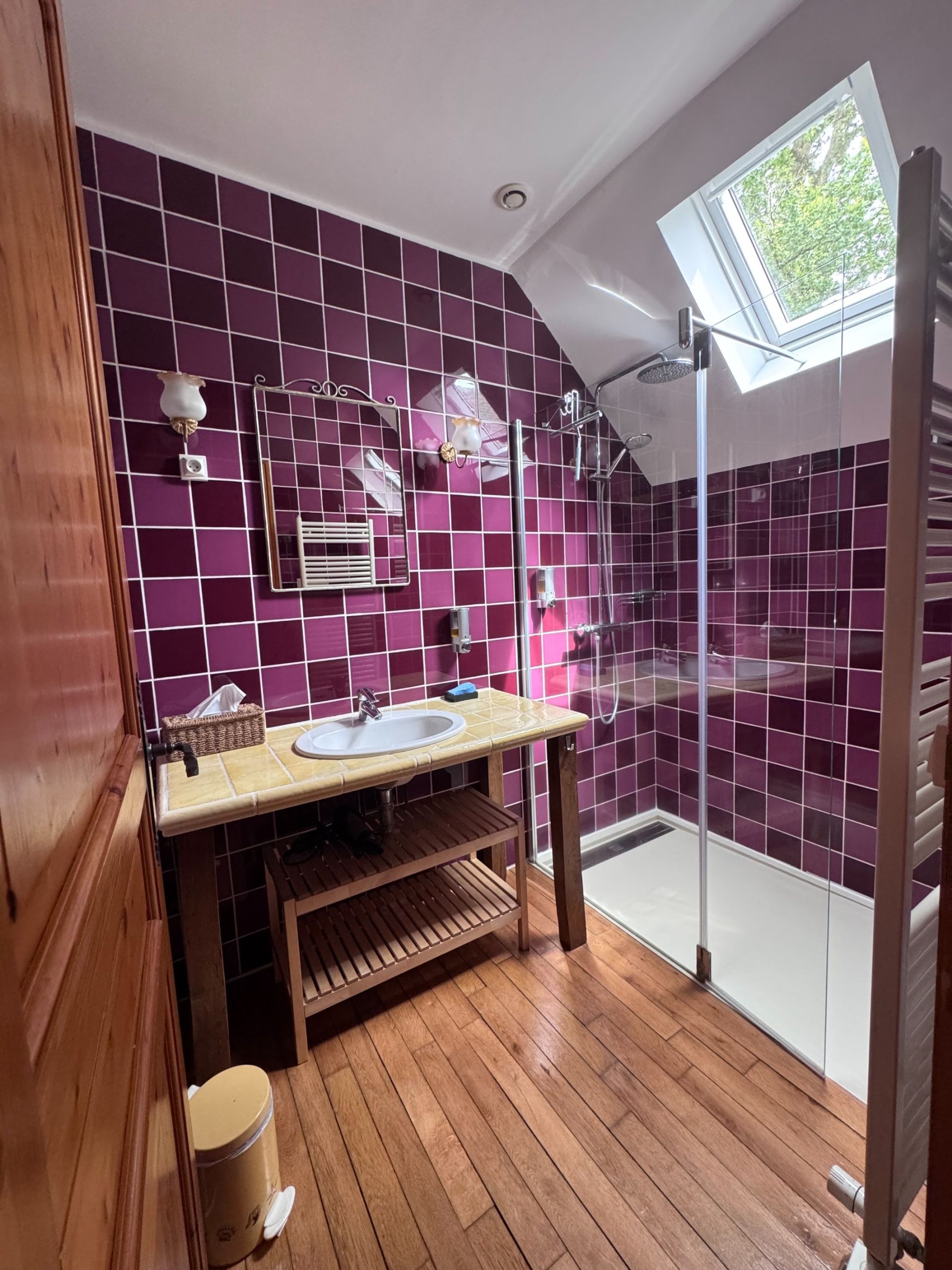 maison de luxe 21 Pièces en vente sur LIGNY LE RIBAULT (45240)