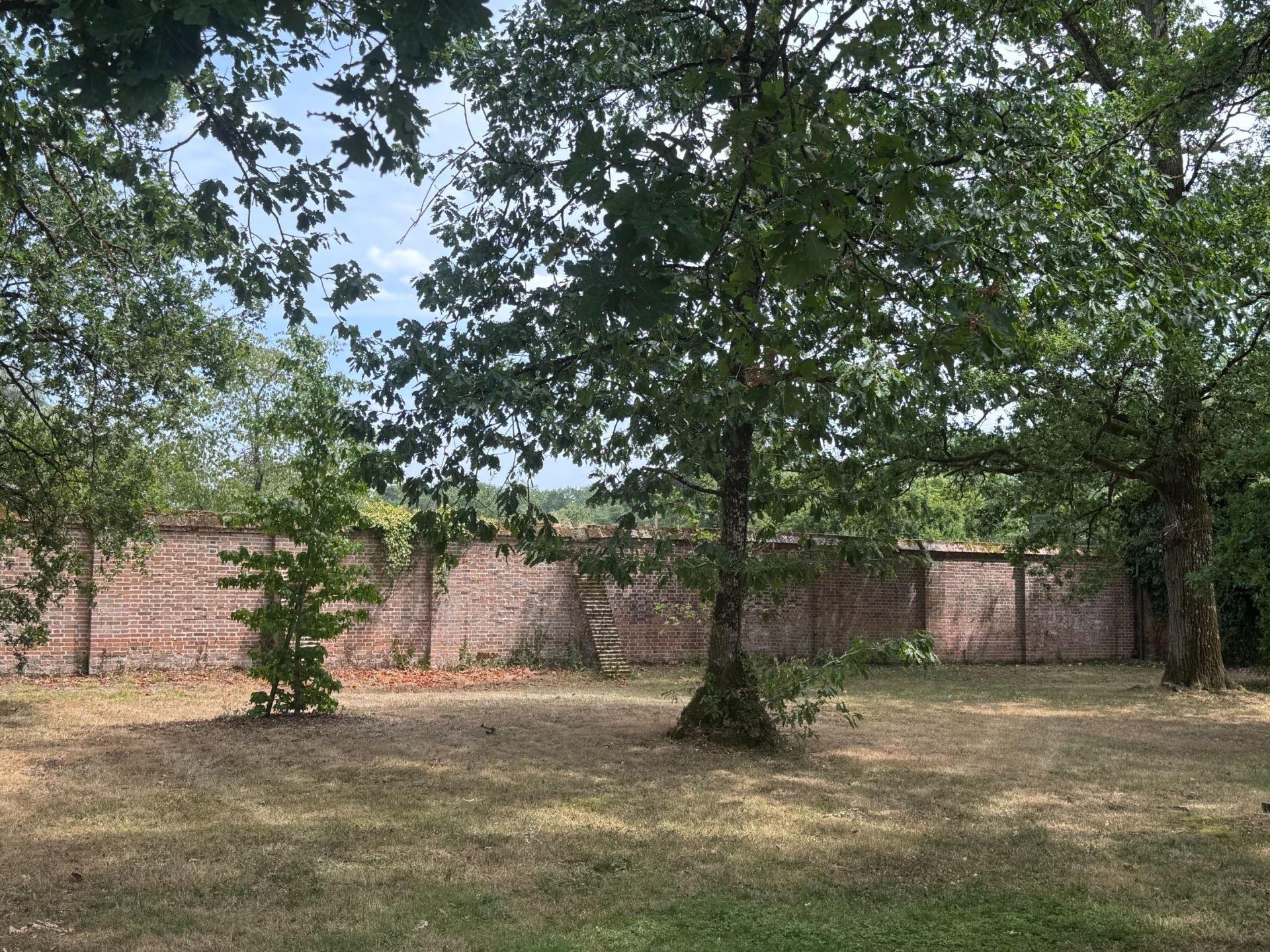 maison de luxe 21 Pièces en vente sur LIGNY LE RIBAULT (45240)