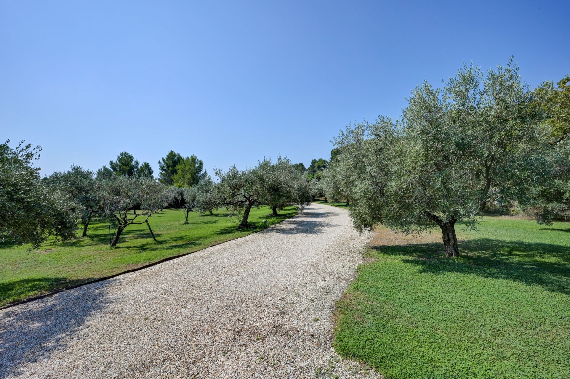 luxury house 9 Rooms for sale on NOVES (13550)