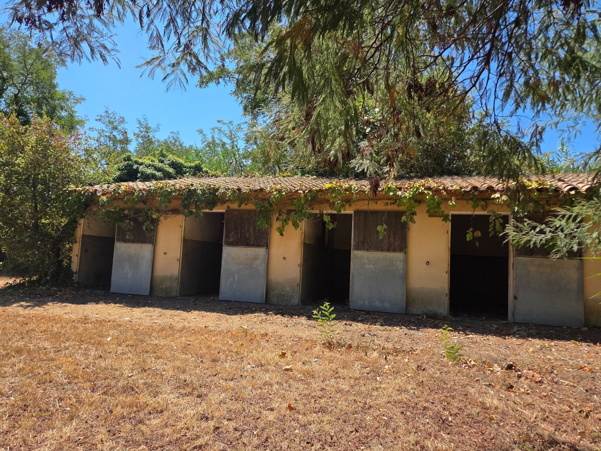 luxury house 13 Rooms for sale on PERPIGNAN (66000)