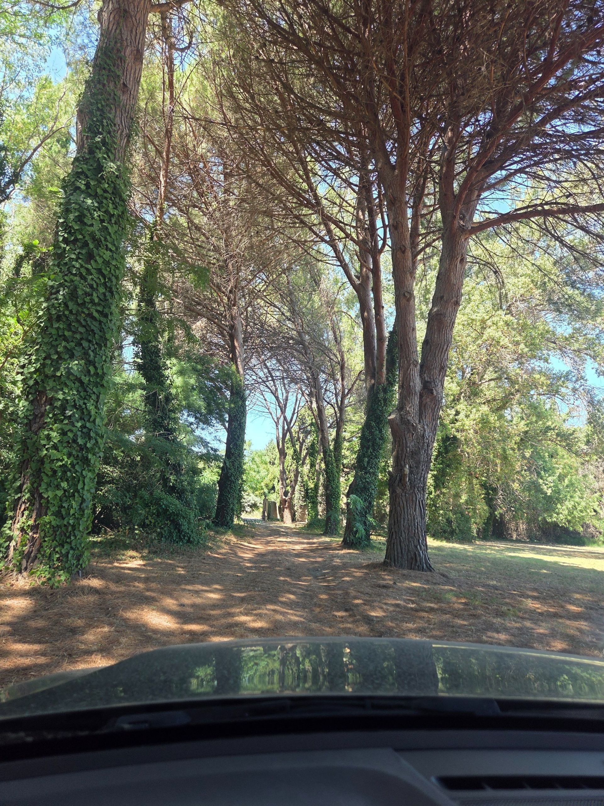 maison de luxe 13 Pièces en vente sur PERPIGNAN (66000)