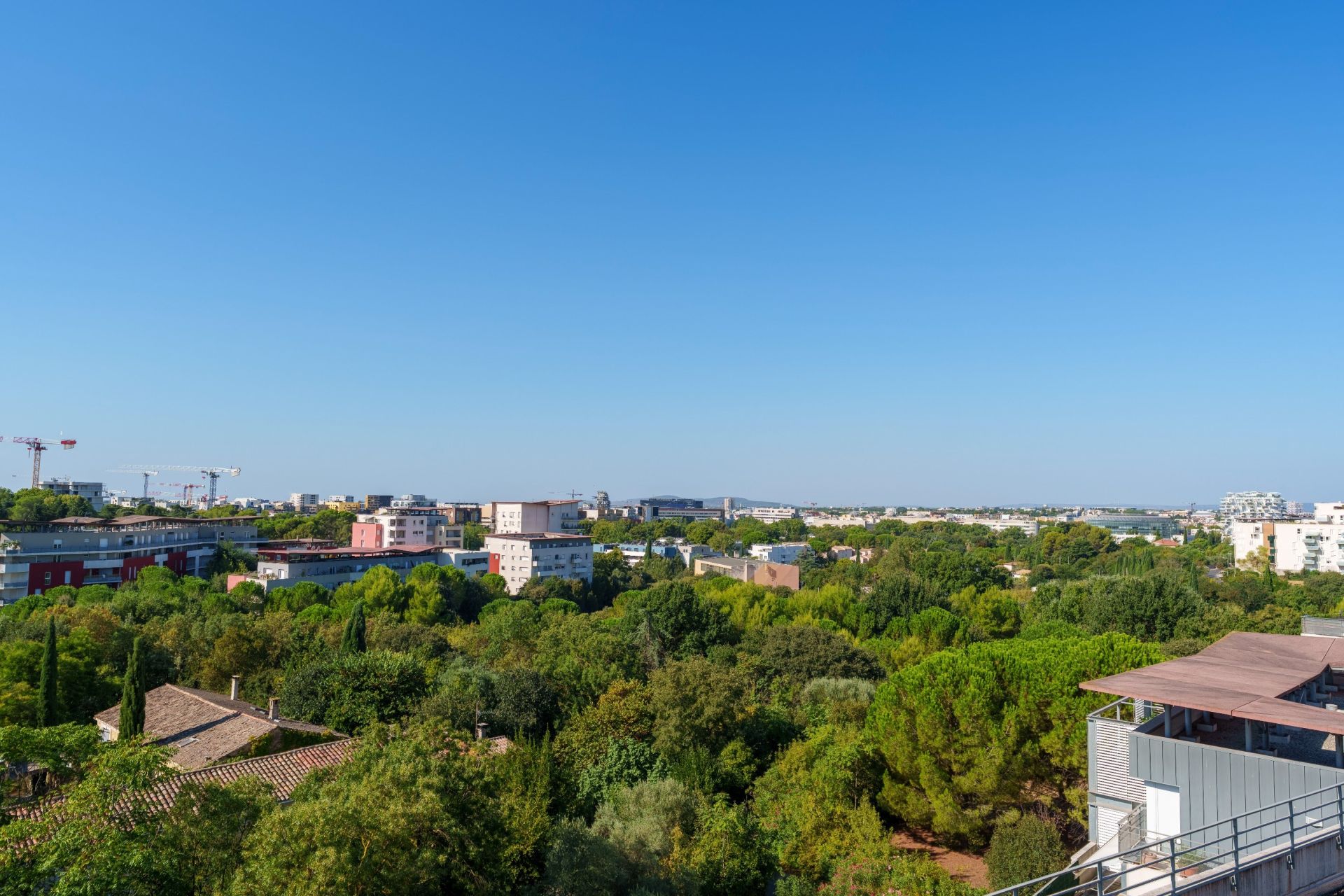 appartement de luxe 5 Pièces en vente sur MONTPELLIER (34000)