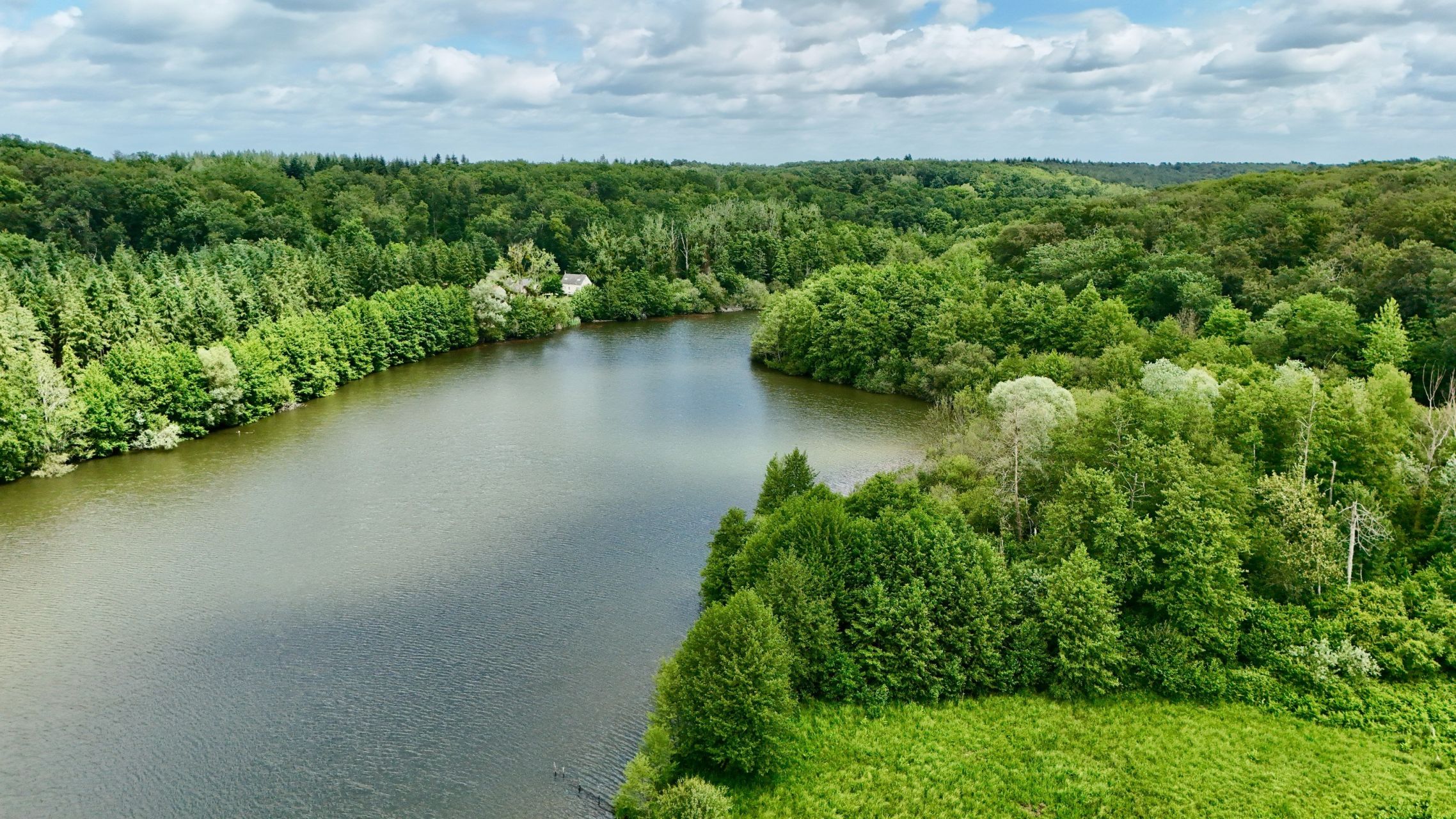 castle 29 Rooms for sale on BOURGUEIL (37140)