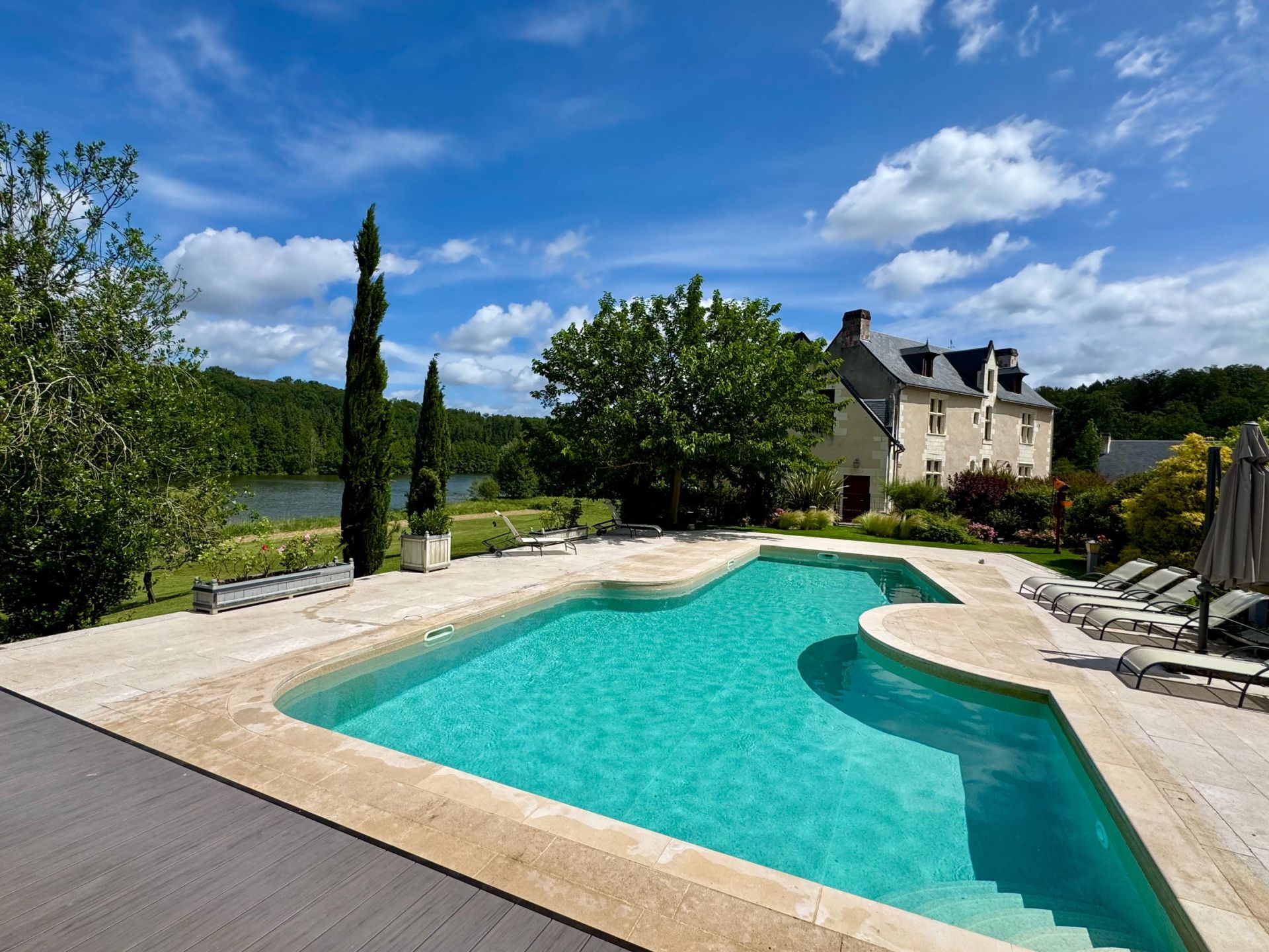 castle 29 Rooms for sale on BOURGUEIL (37140)