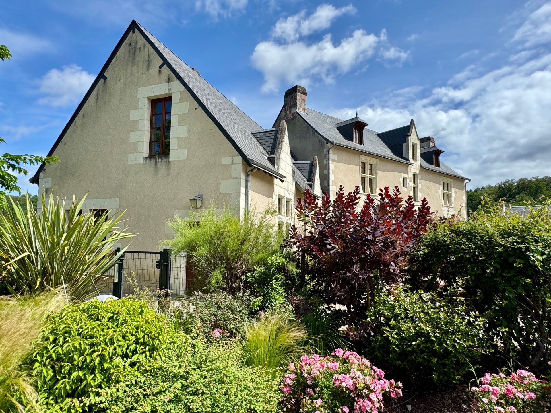 castle 29 Rooms for sale on BOURGUEIL (37140)