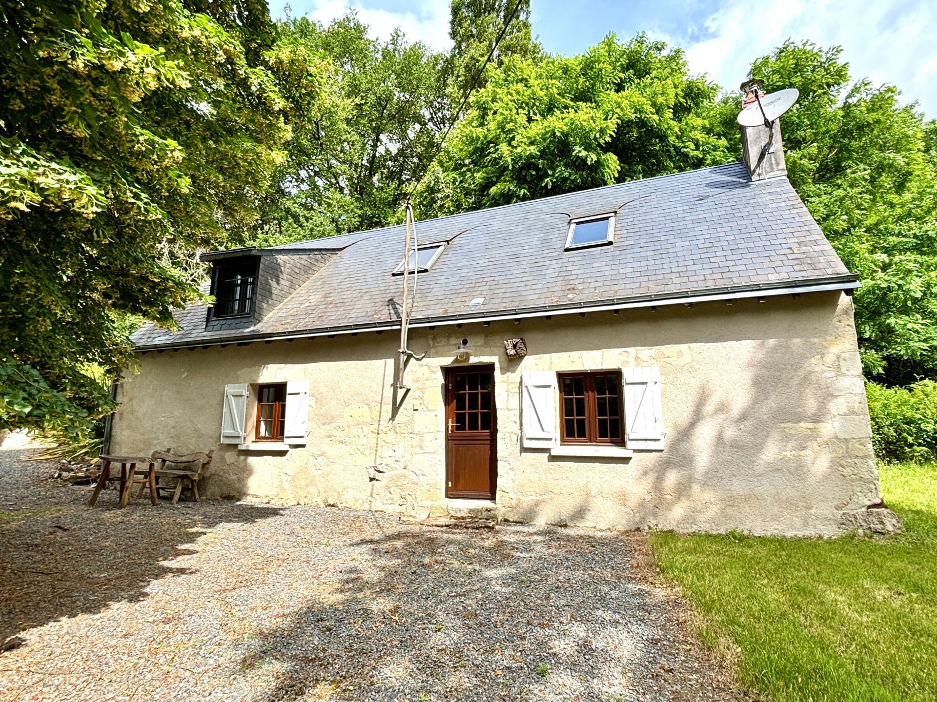 castle 29 Rooms for sale on BOURGUEIL (37140)