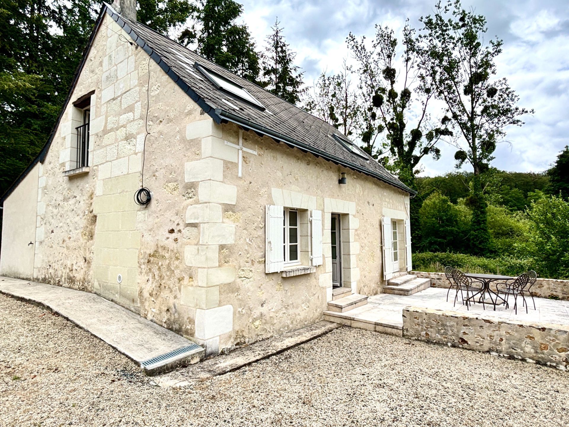 castle 29 Rooms for sale on BOURGUEIL (37140)