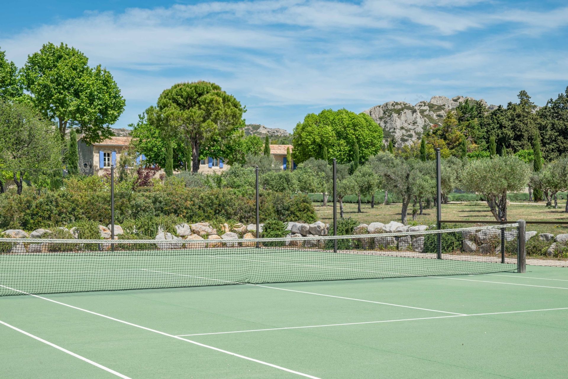 luxury house 8 Rooms for sale on MAUSSANE LES ALPILLES (13520)