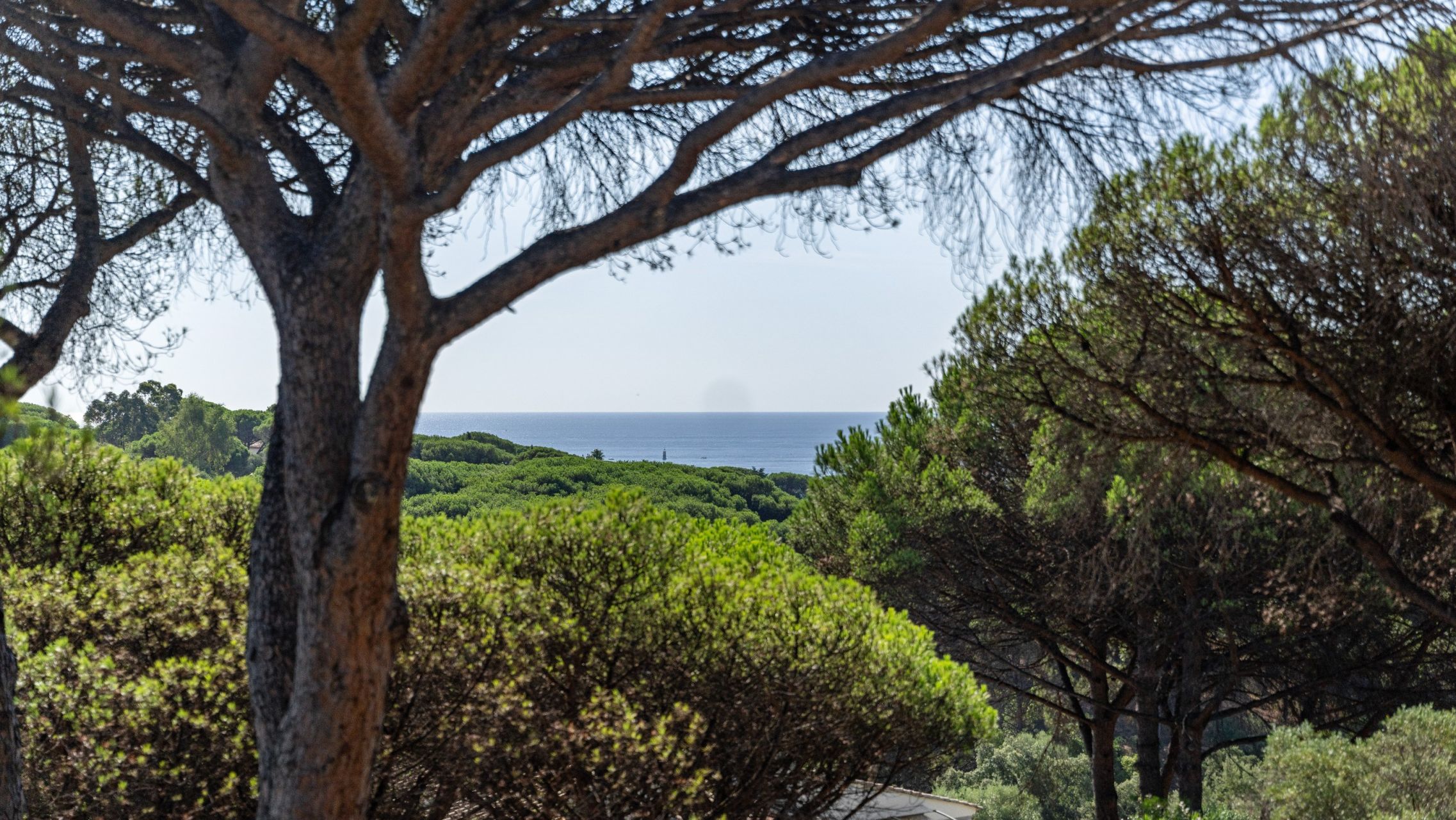 villa de luxe 5 Pièces en vente sur STE MAXIME (83120)