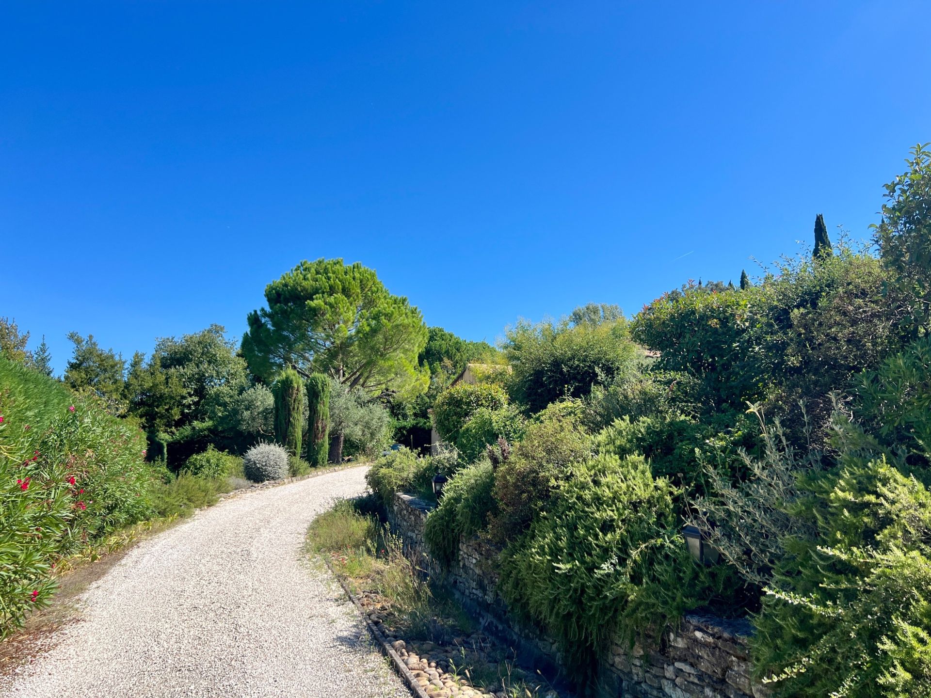 maison traditionnelle de luxe 6 Pièces en vente sur ST REMY DE PROVENCE (13210)