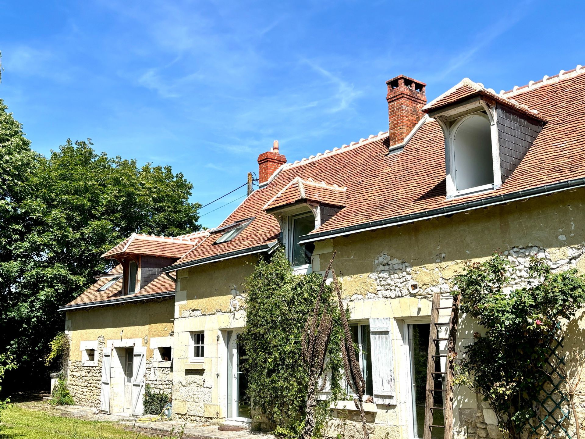 maison de luxe 9 Pièces en vente sur LIGUEIL (37240)