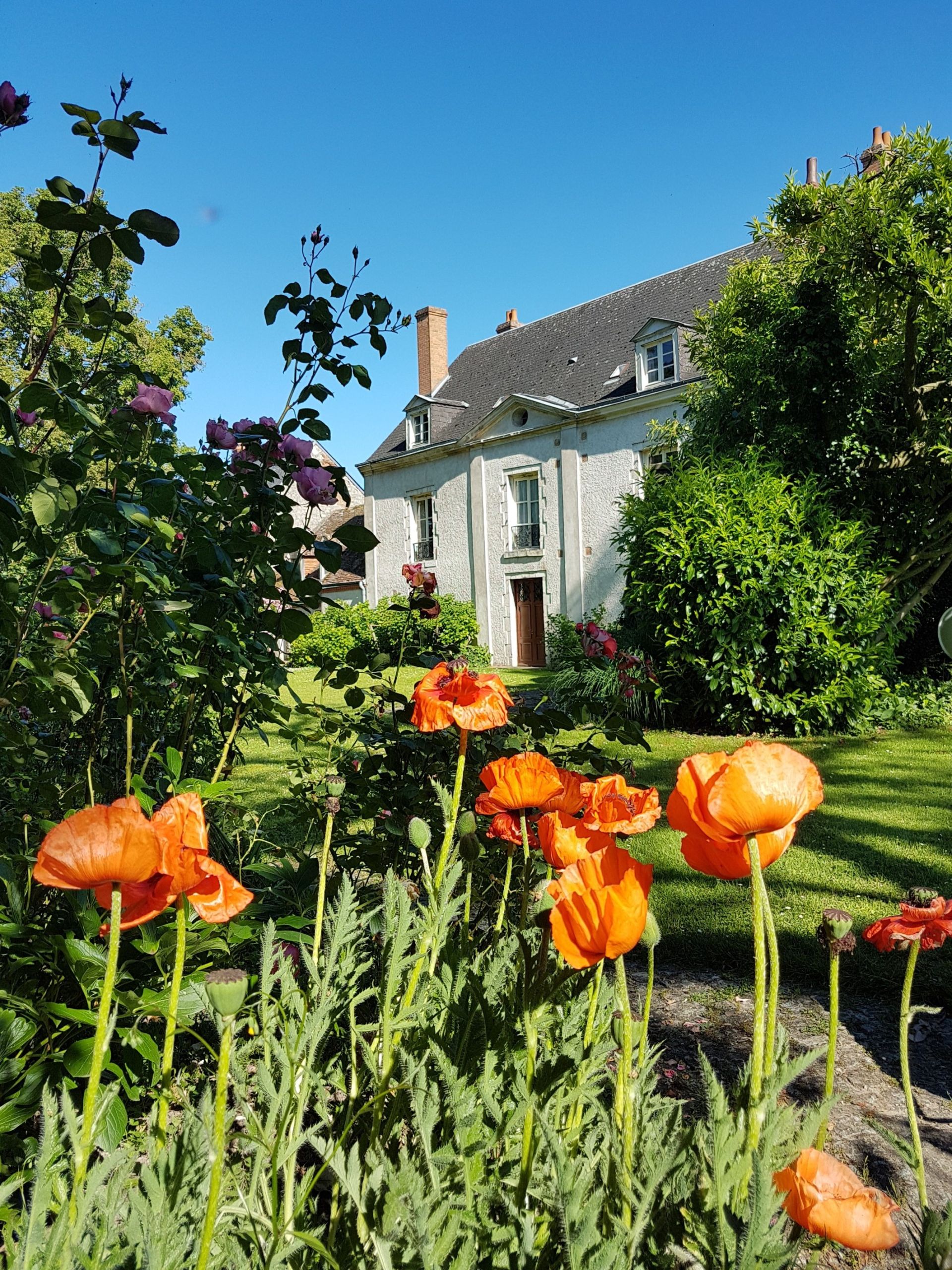 maison de luxe 11 Pièces en vente sur CHAINGY (45380)