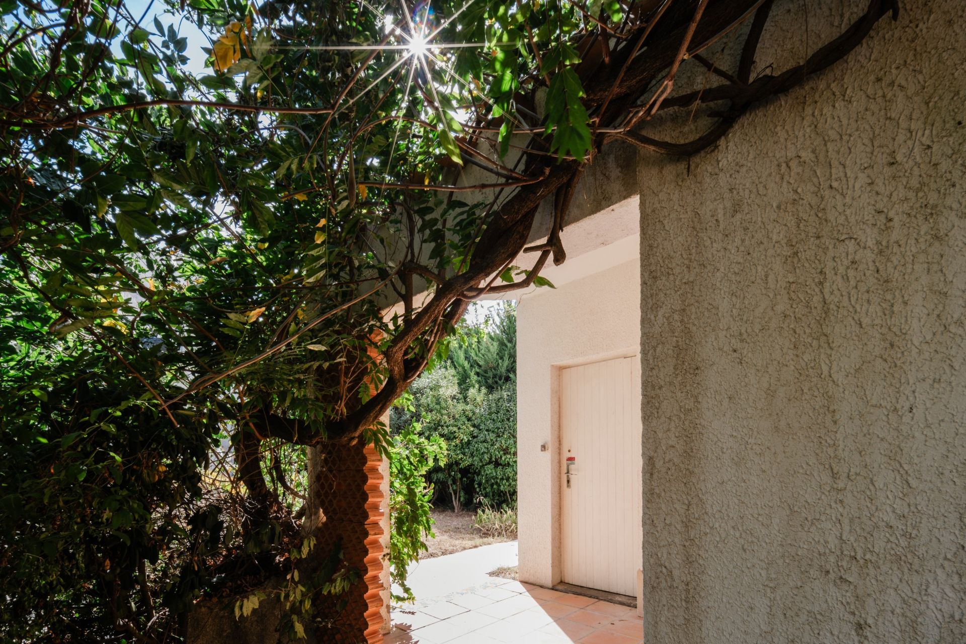 maison de luxe 5 Pièces en vente sur ST CYPRIEN PLAGE (66750)