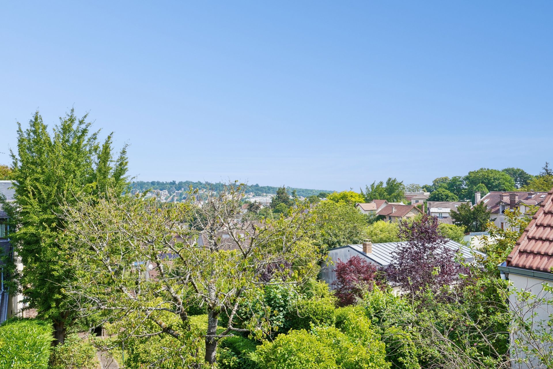 maison de luxe 5 Pièces en vente sur SEVRES (92310)