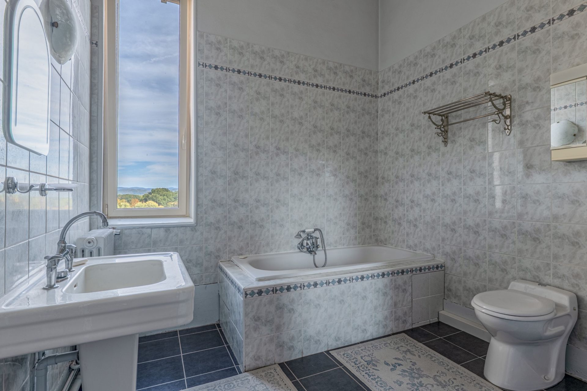 maison de luxe 10 Pièces en vente sur PERONNAS (01960)