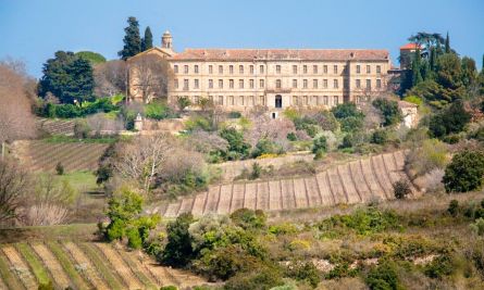 Vente Château Pézenas 30&nbsp;Pièces 6200&nbsp;m²