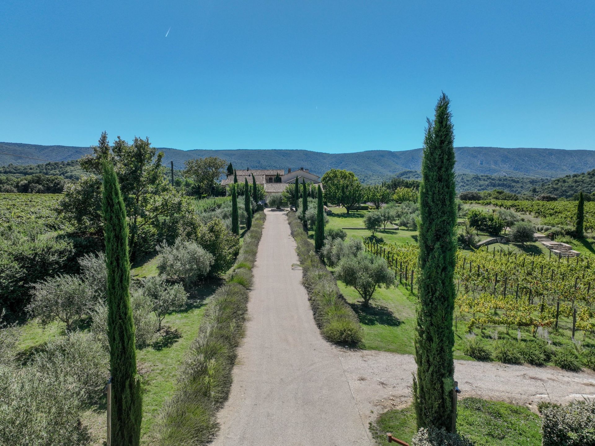 luxury property 11 Rooms for sale on MENERBES (84560)