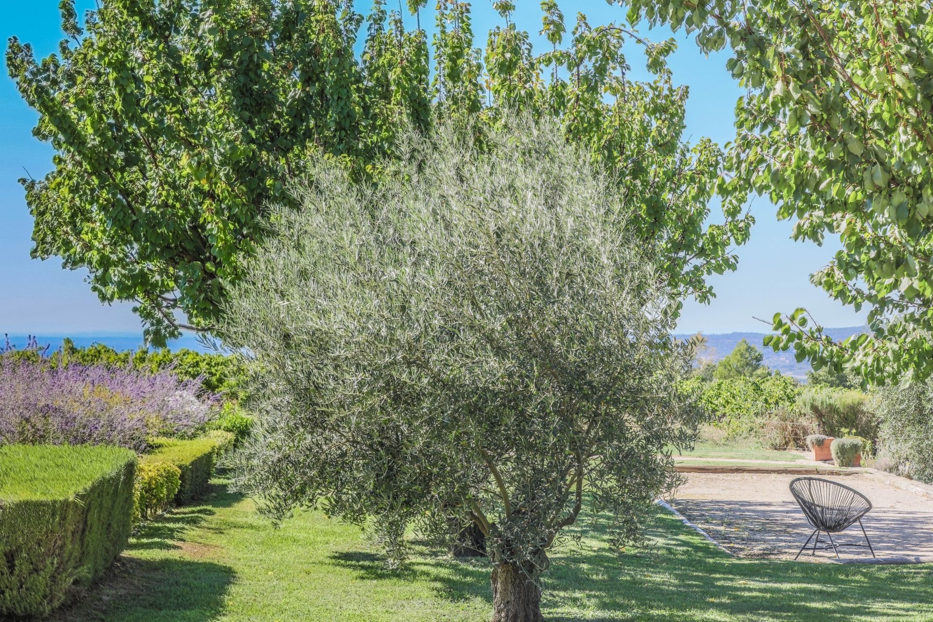 luxury property 11 Rooms for sale on MENERBES (84560)