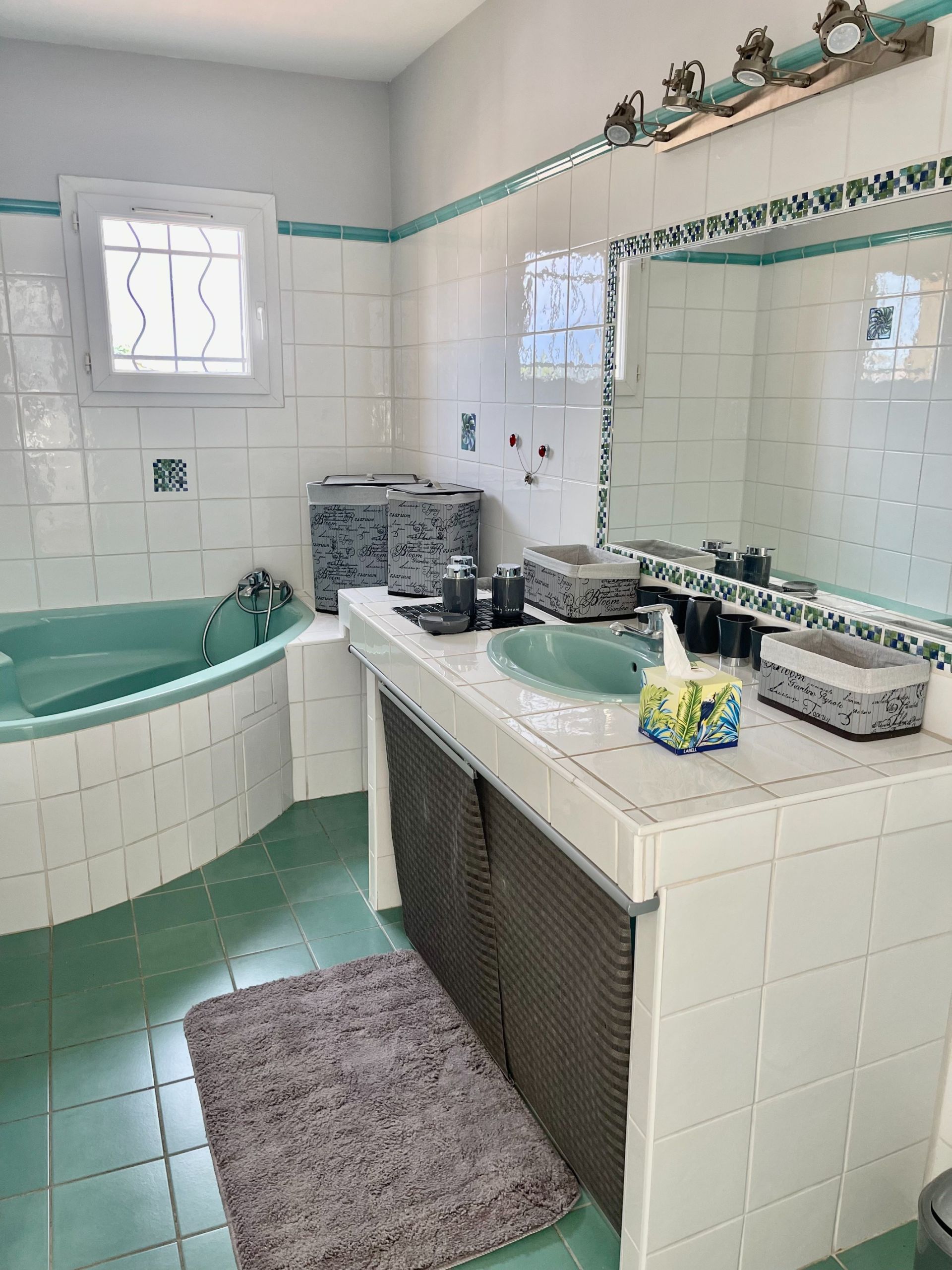 maison de luxe 7 Pièces en vente sur MONTPELLIER (34000)