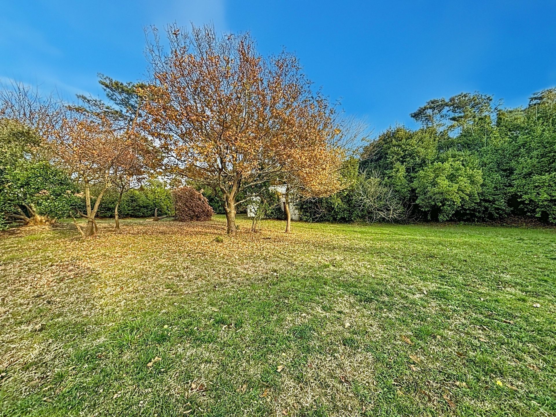 maison de luxe 5 Pièces en vente sur ANGLET (64600)