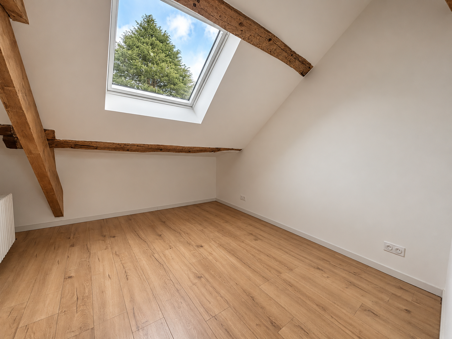 maison de luxe 6 Pièces en vente sur ST JEAN DE BRAYE (45800)