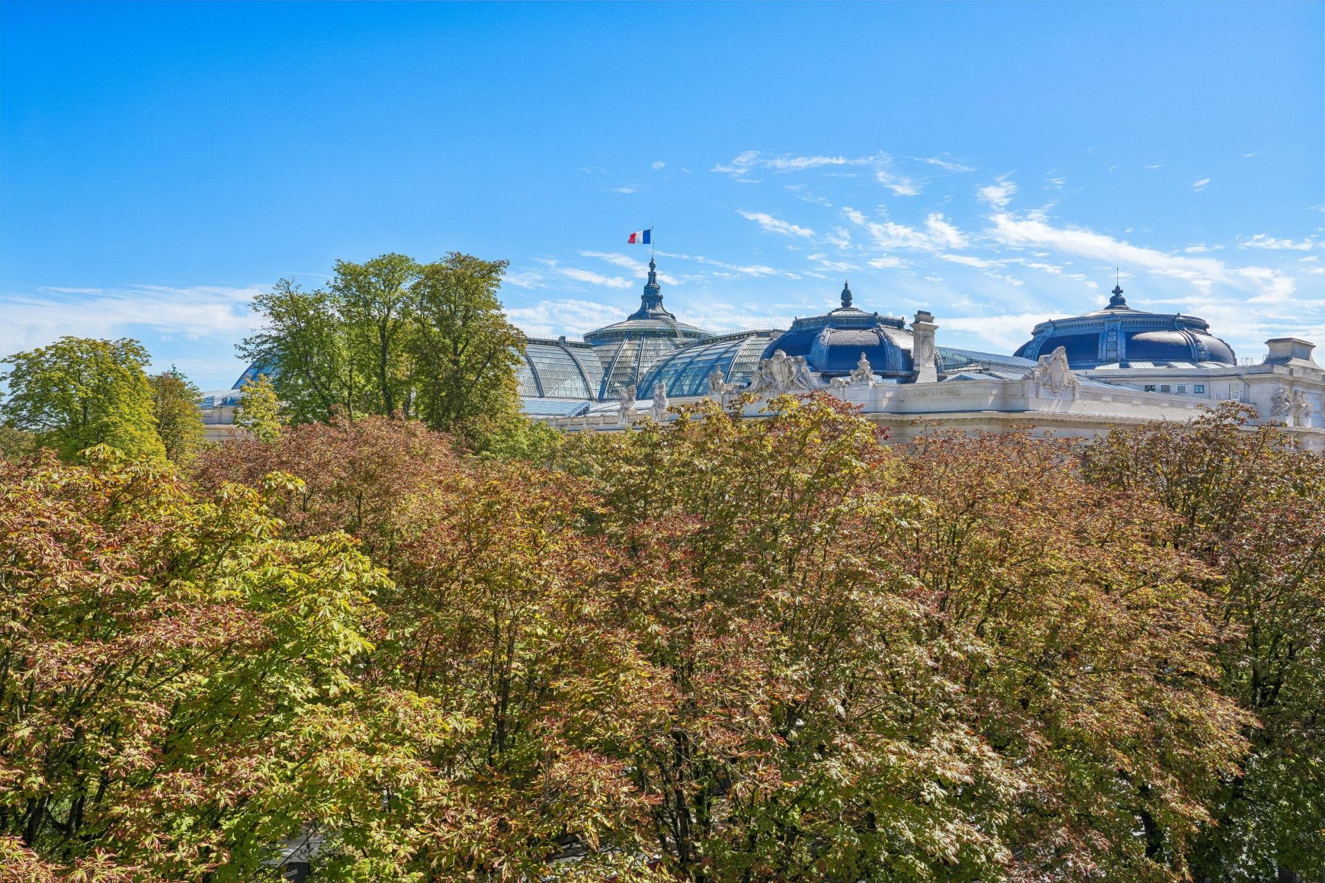 appartement de luxe 1 pièce en vente sur PARIS (75008)