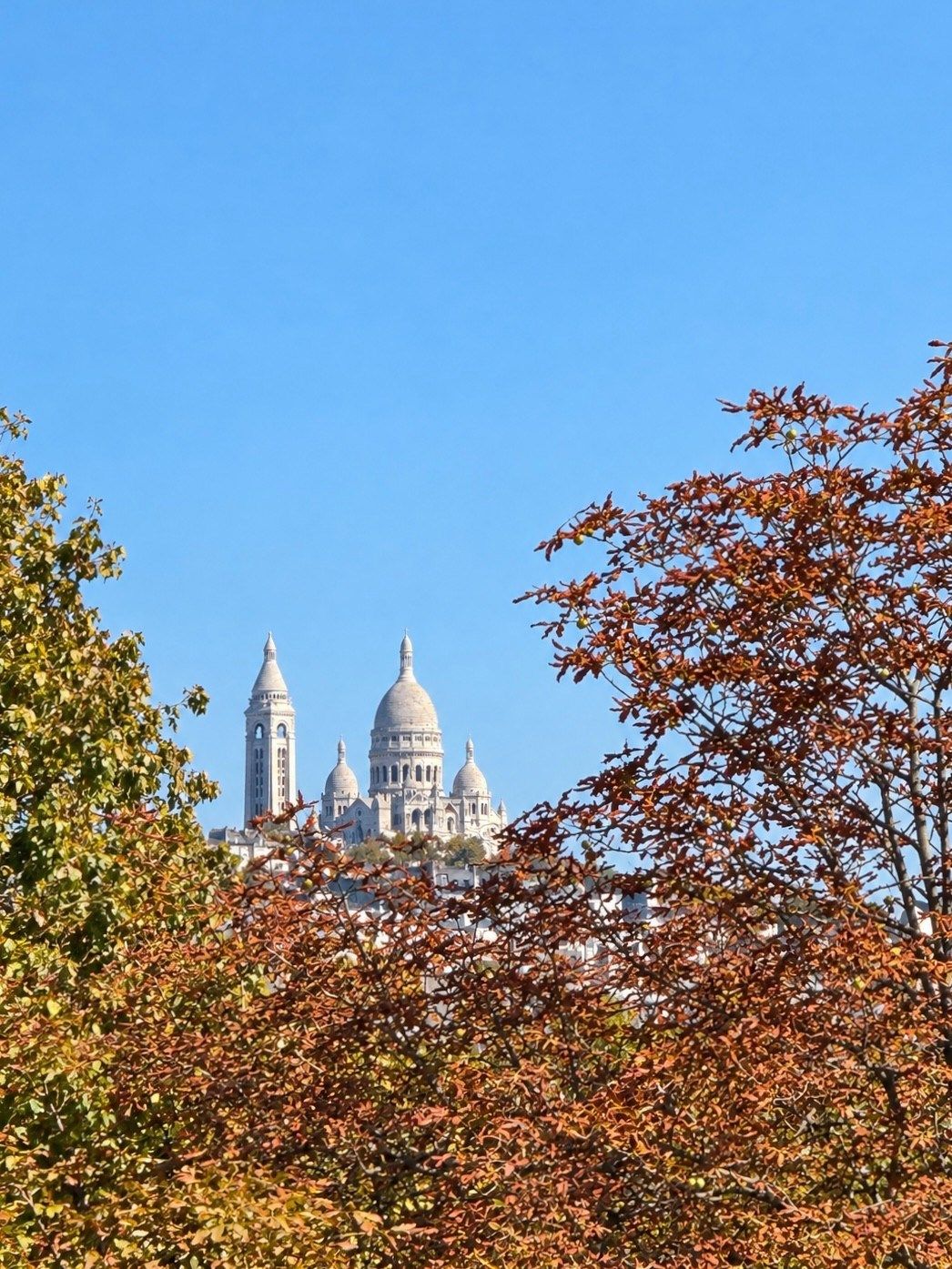 appartement de luxe 1 pièce en vente sur PARIS (75008)