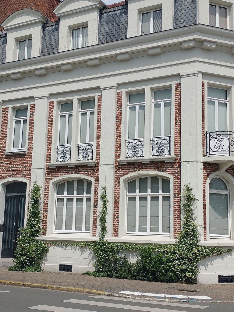 luxury house 12 Rooms for sale on LILLE (59800)