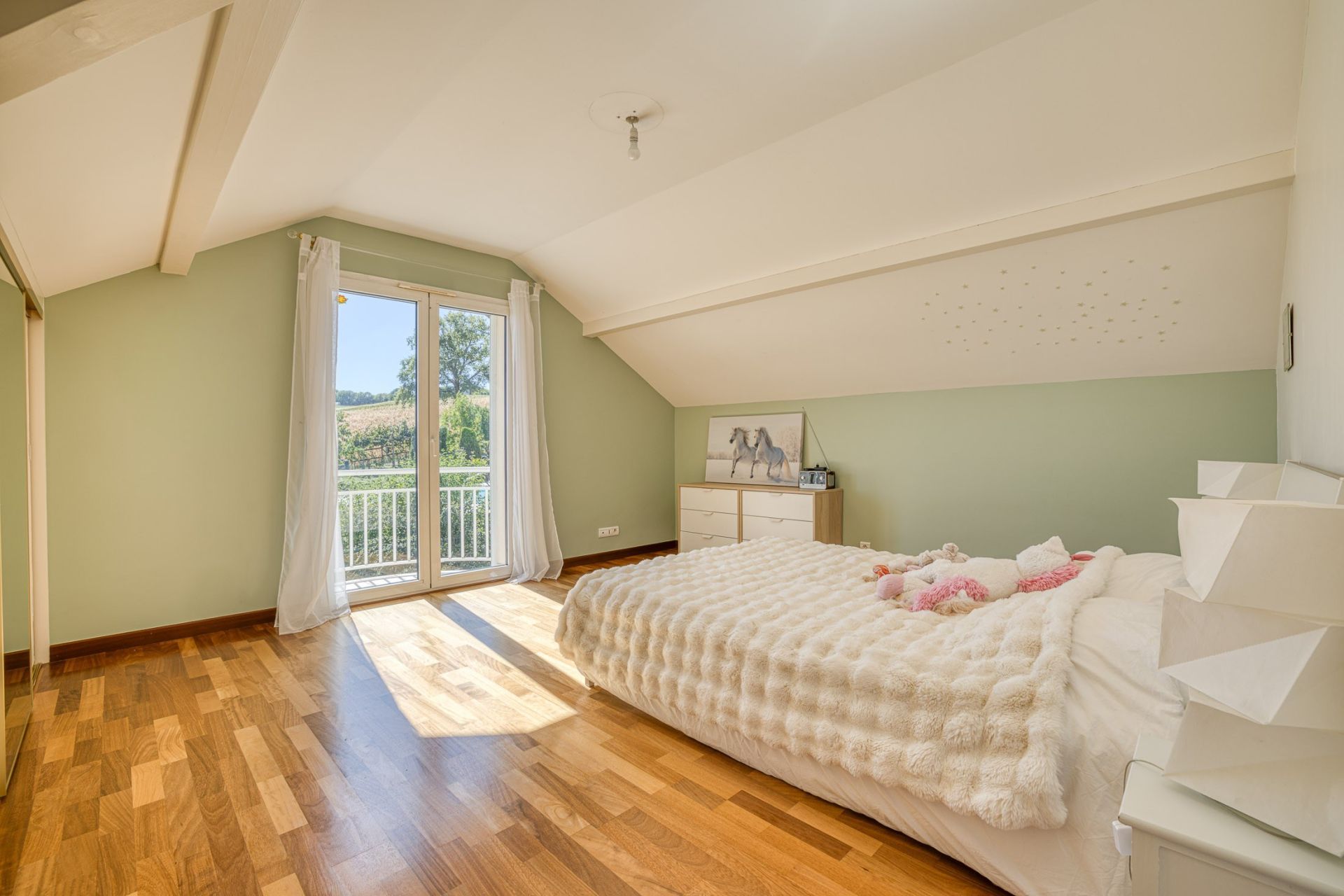 maison de luxe 10 Pièces en vente sur LA BALME DE SILLINGY (74330)