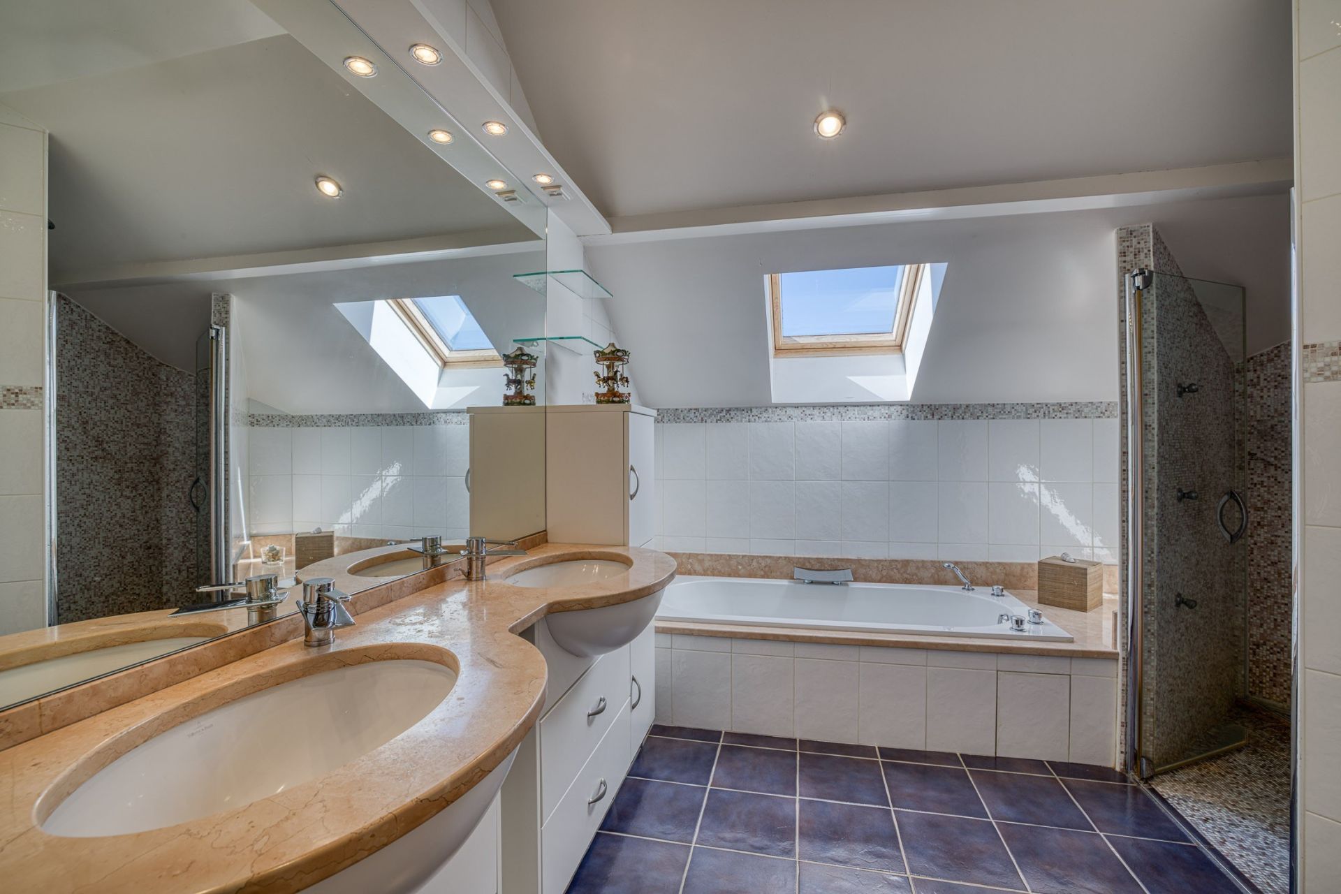 maison de luxe 10 Pièces en vente sur LA BALME DE SILLINGY (74330)