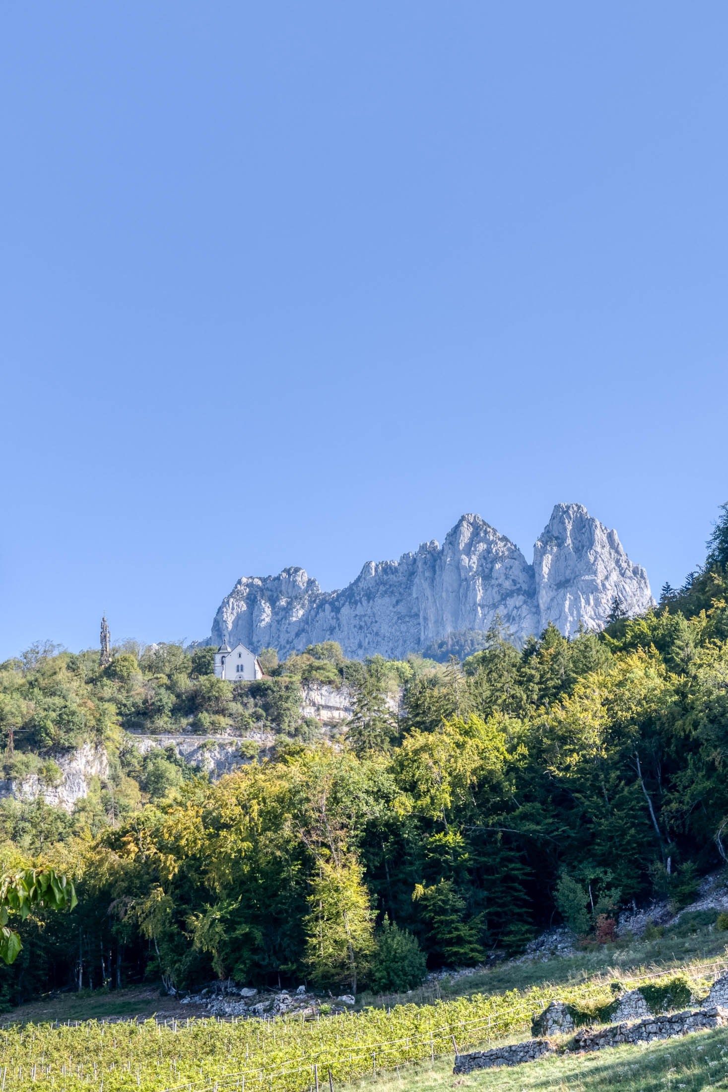 appartement de luxe 3 Pièces en vente sur TALLOIRES (74290)