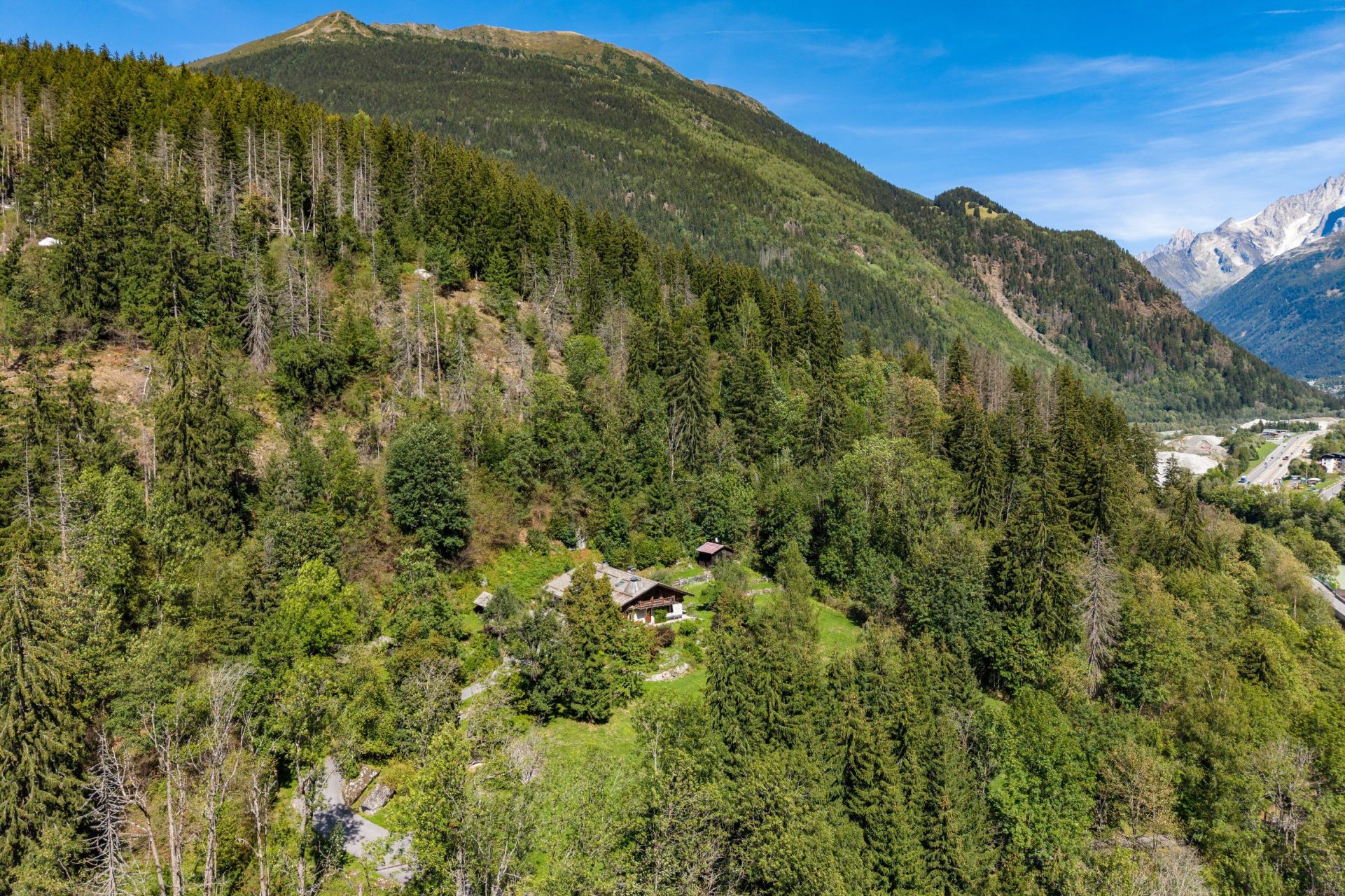 luxury chalet 12 Rooms for sale on CHAMONIX MONT BLANC (74400)