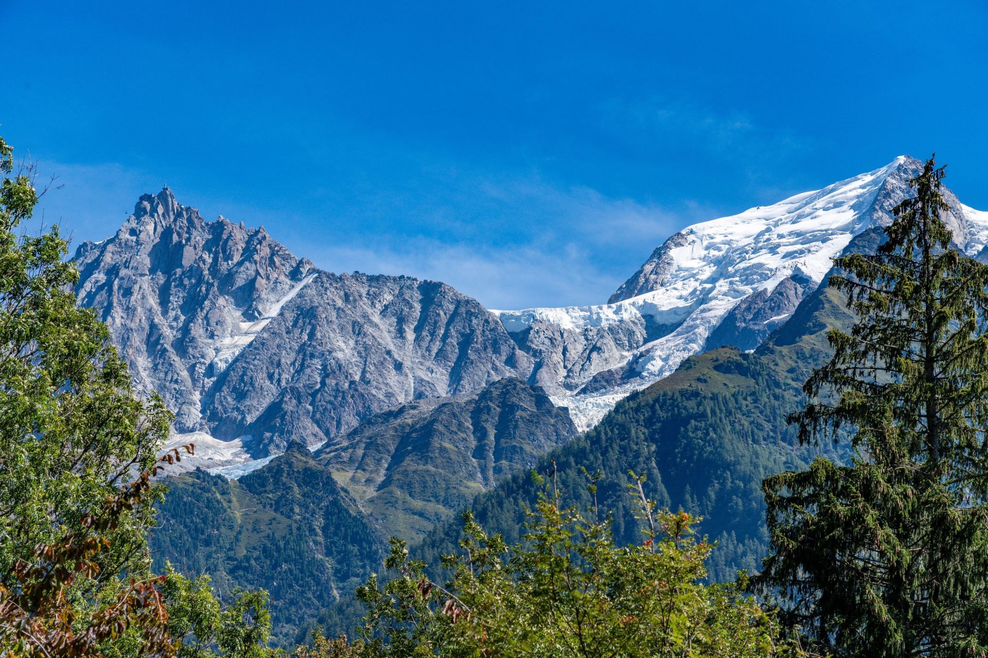 luxury chalet 12 Rooms for sale on CHAMONIX MONT BLANC (74400)