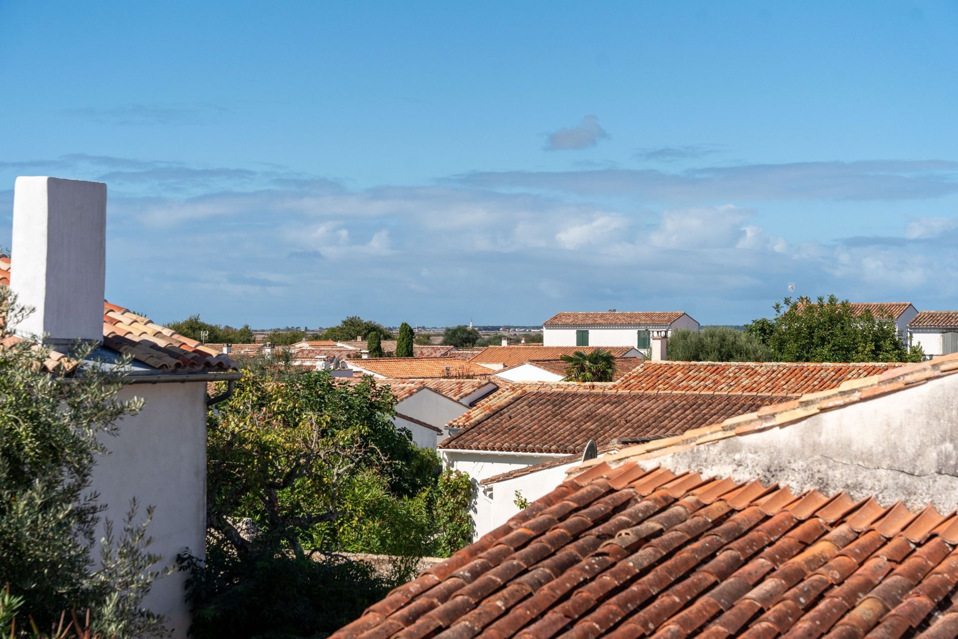 luxury house 5 Rooms for sale on LOIX (17111)