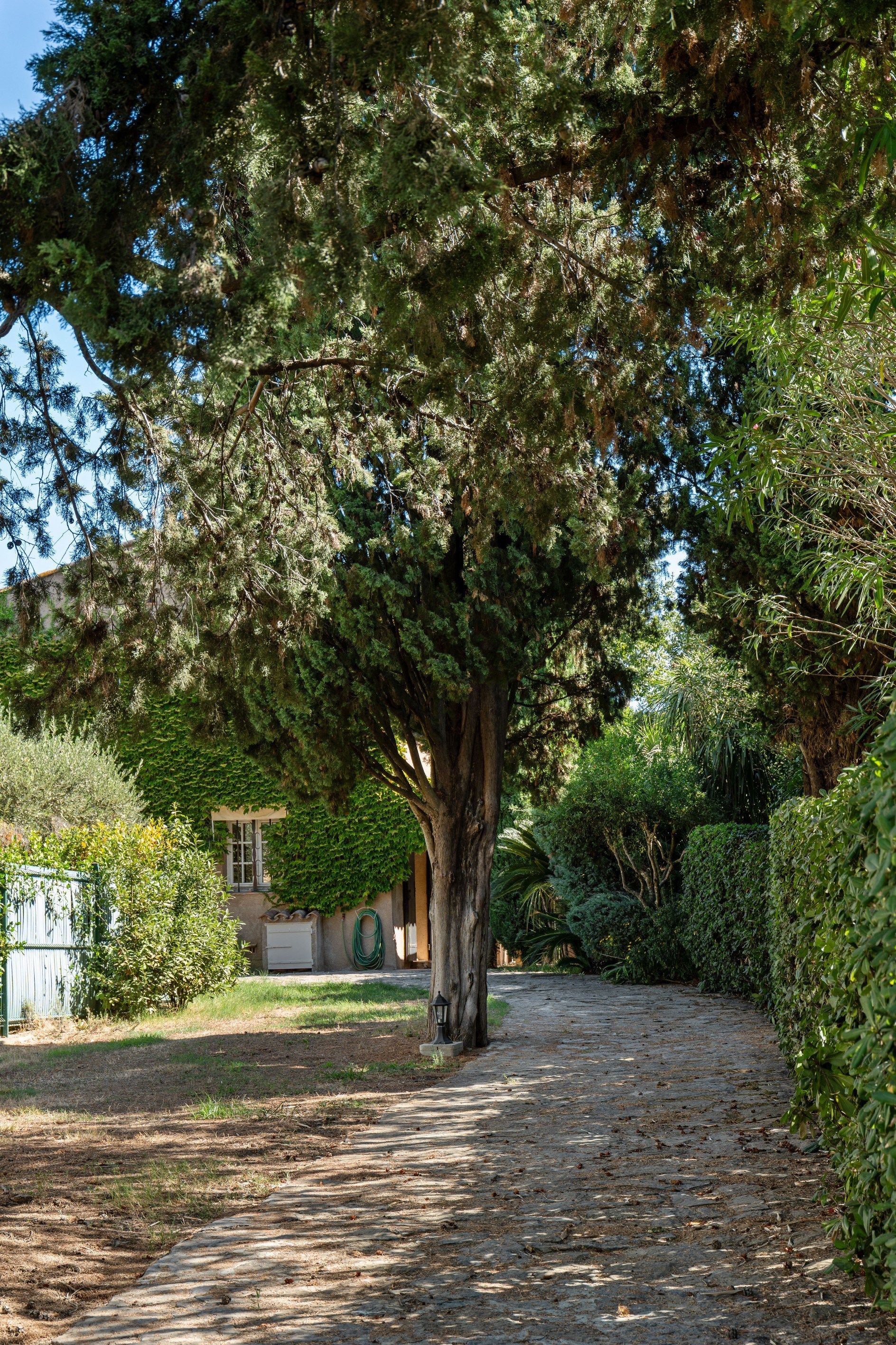 maison provençale de luxe 5 Pièces en vente sur ST TROPEZ (83990)