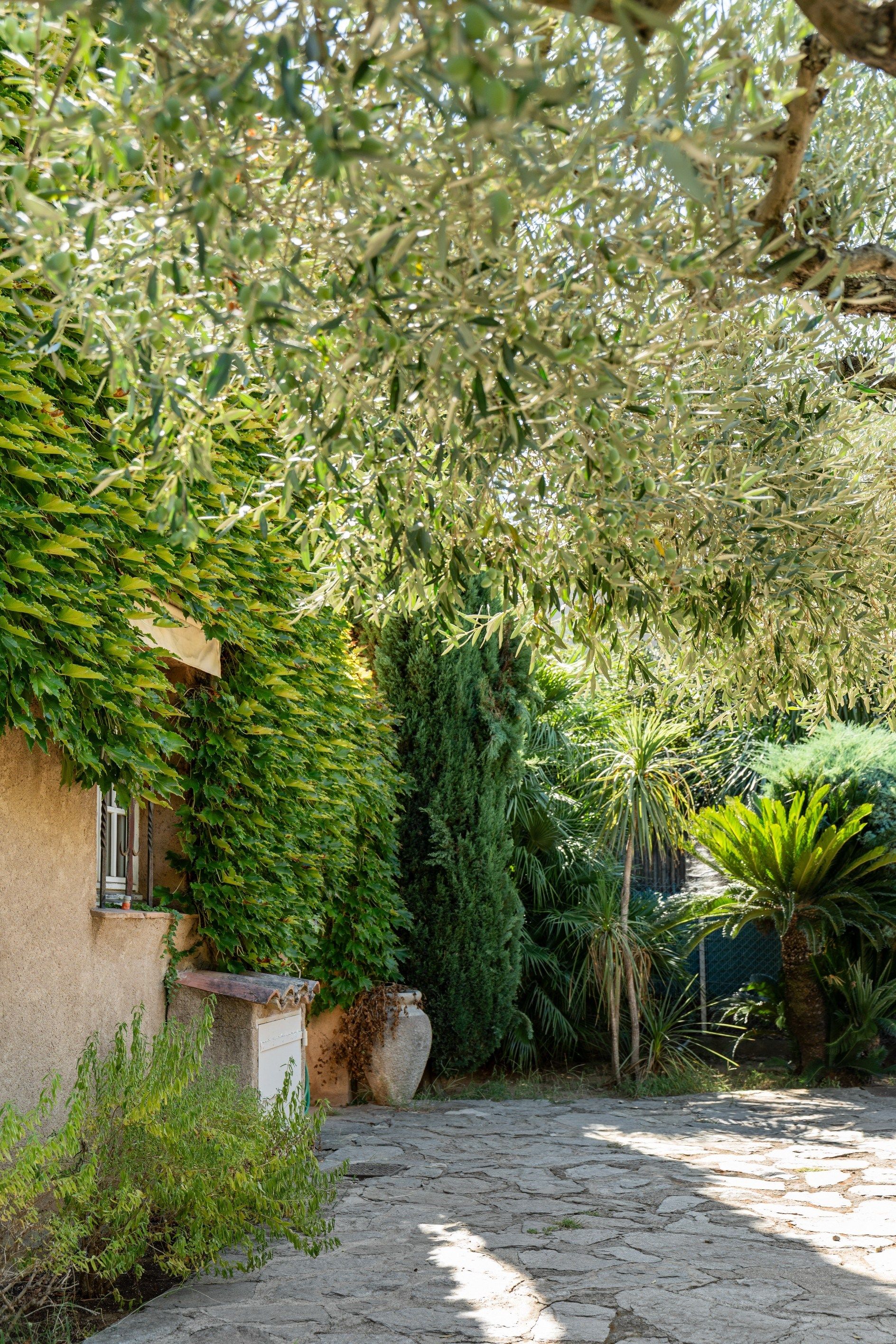 maison provençale de luxe 5 Pièces en vente sur ST TROPEZ (83990)